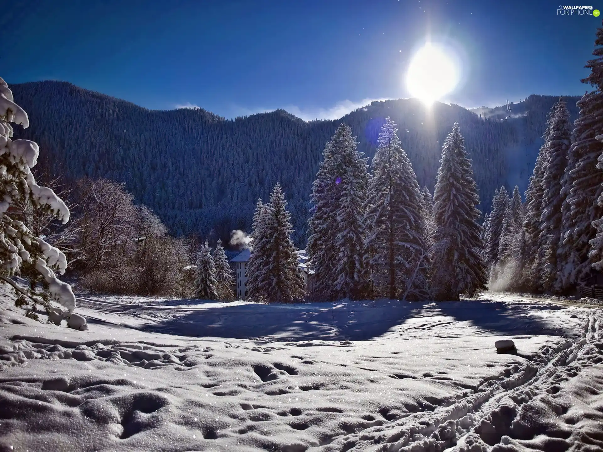 winter, forest, sun, Mountains