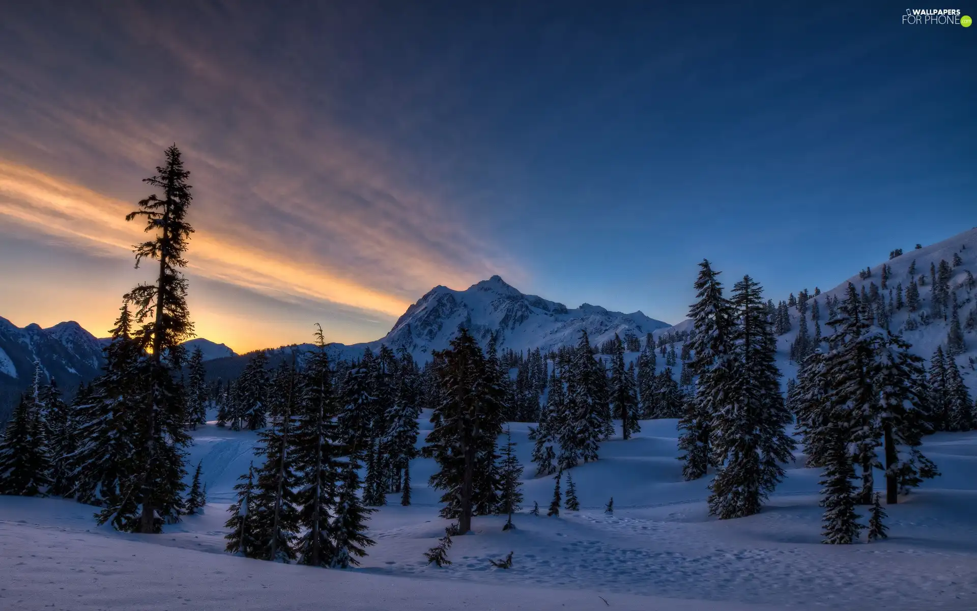 sun, winter, woods, west, Mountains