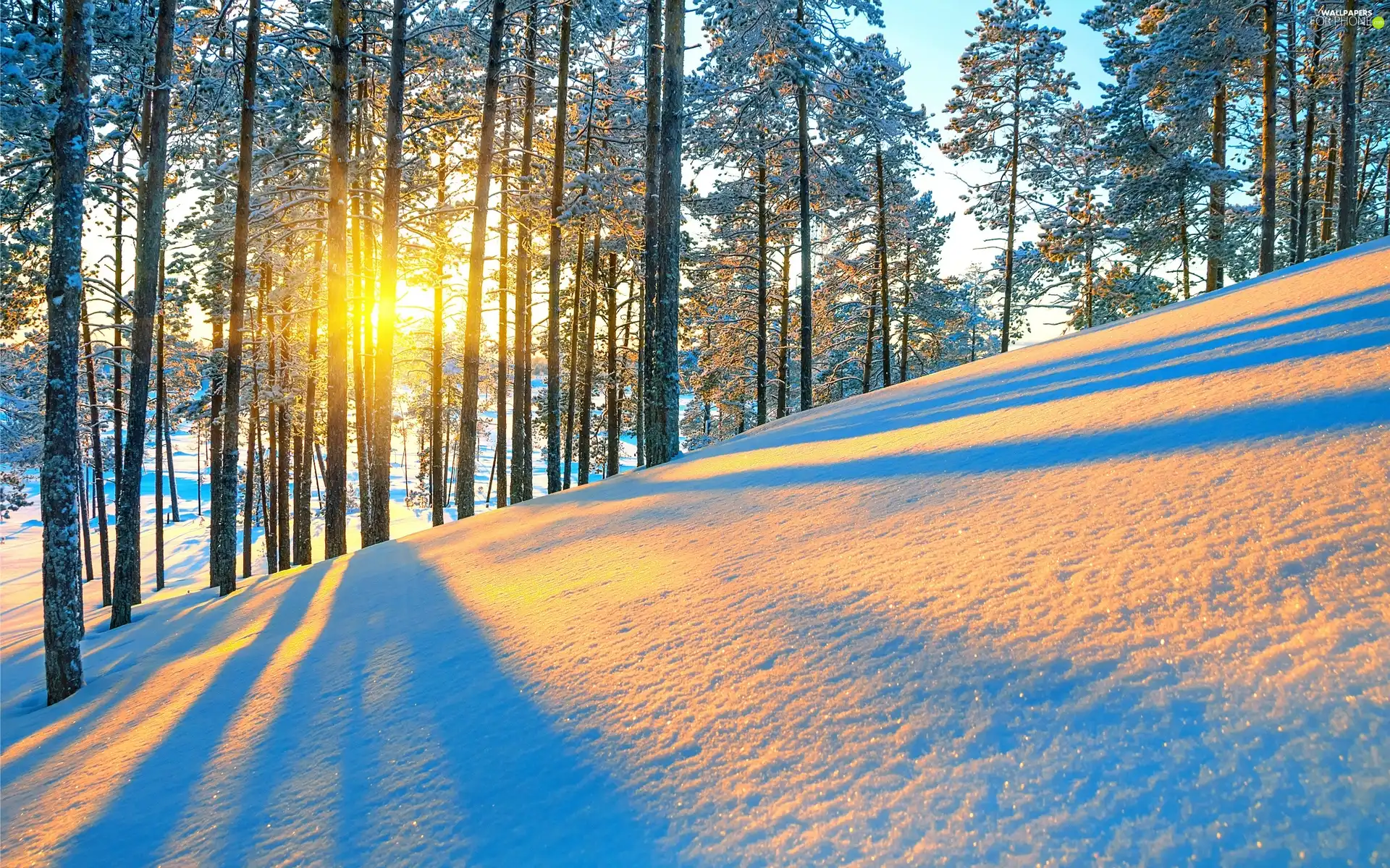 viewes, mountains, sun, winter, rays, trees