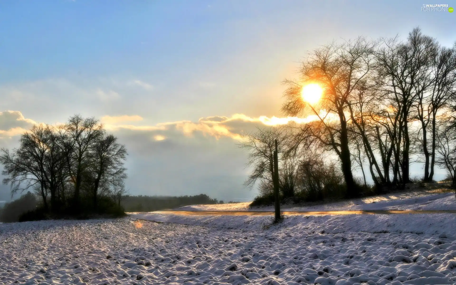 woods, Way, sun, winter, rays, field