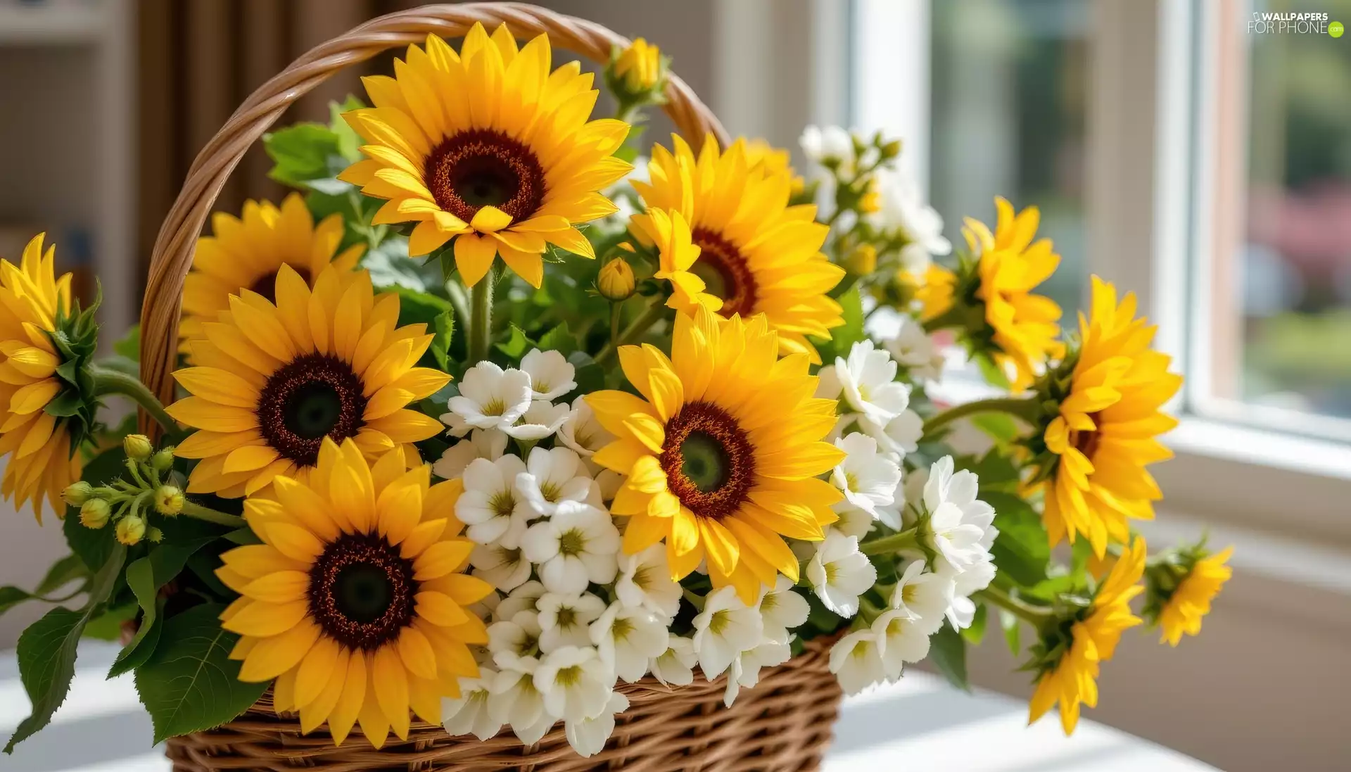 basket, Flowers, Nice sunflowers