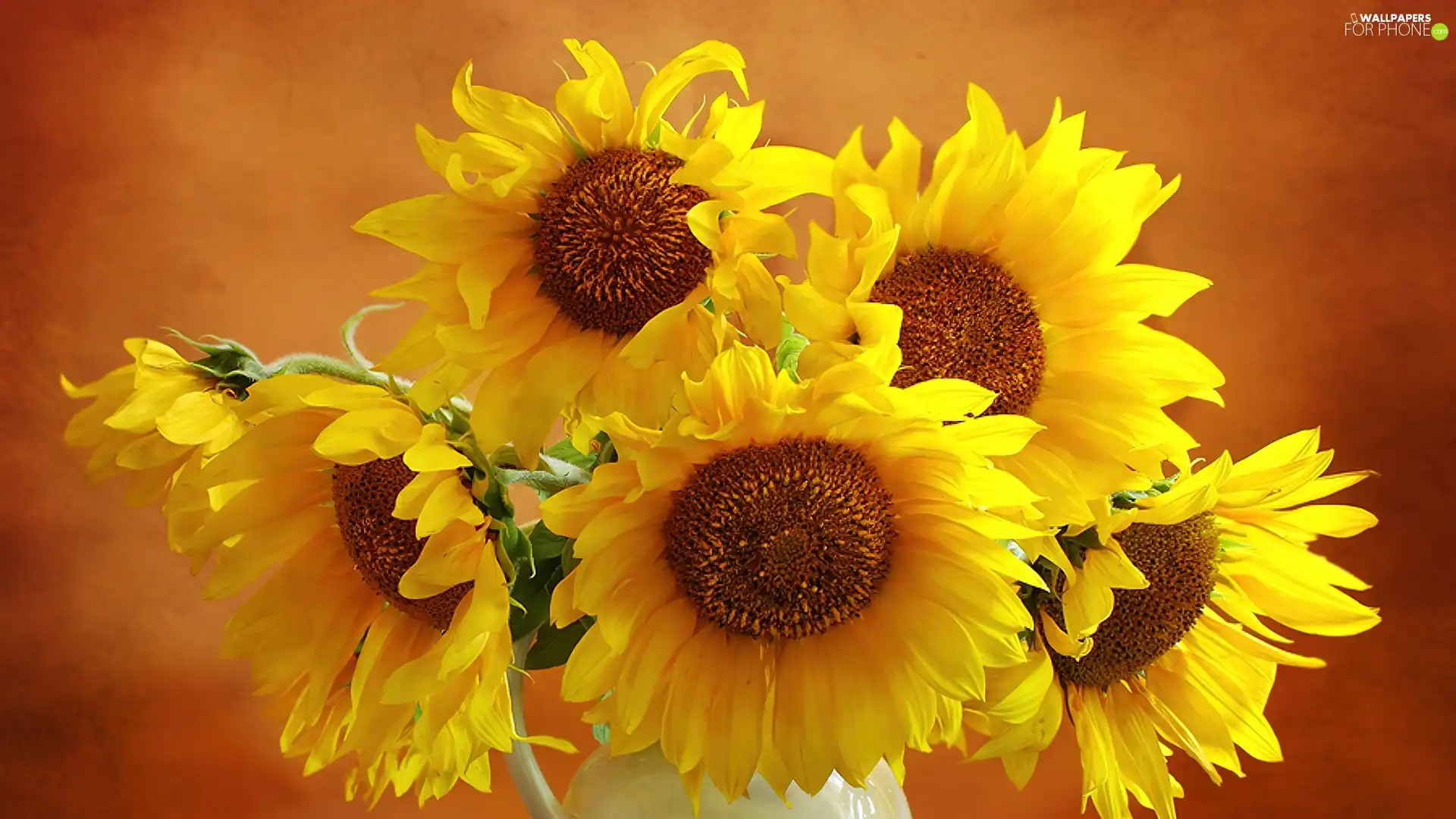 bouquet, sunflowers