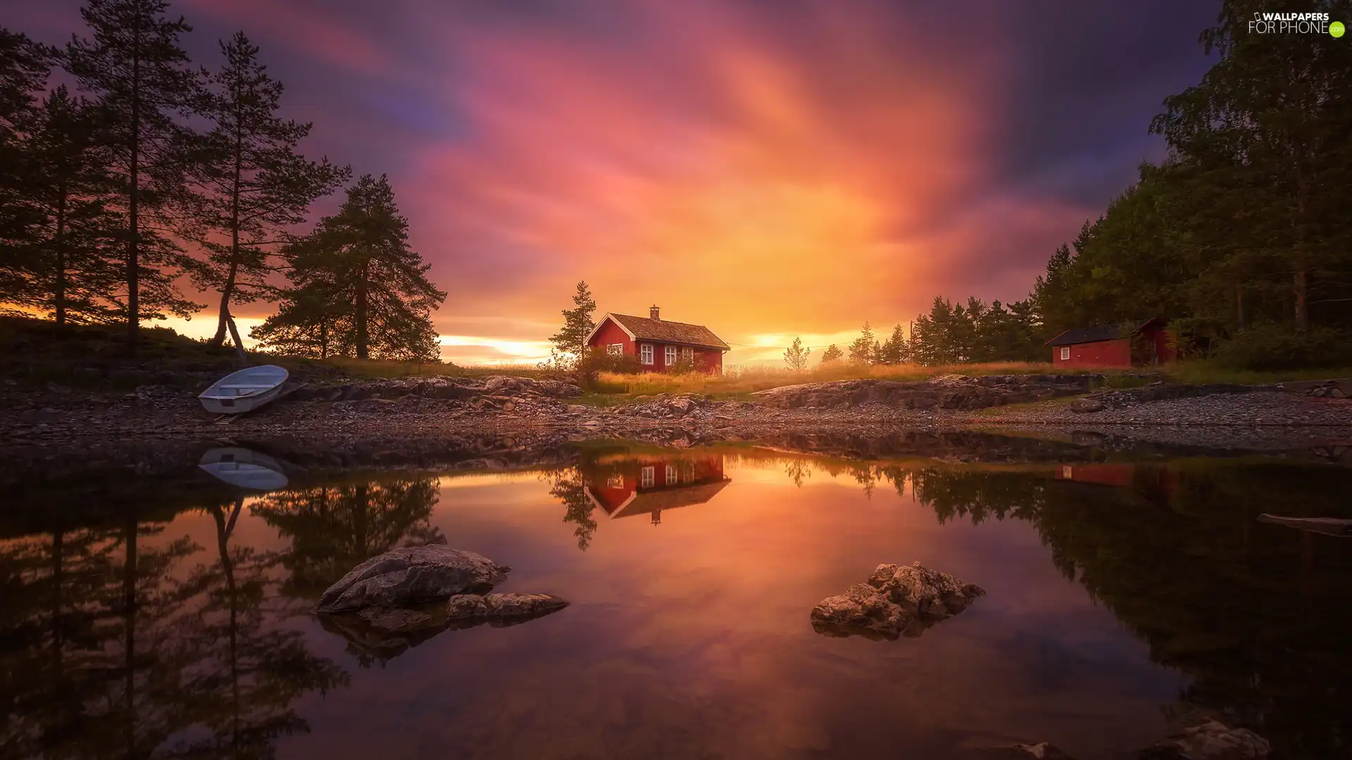 trees, viewes, Boat, lake, house, Ringerike, Norway, Sunrise