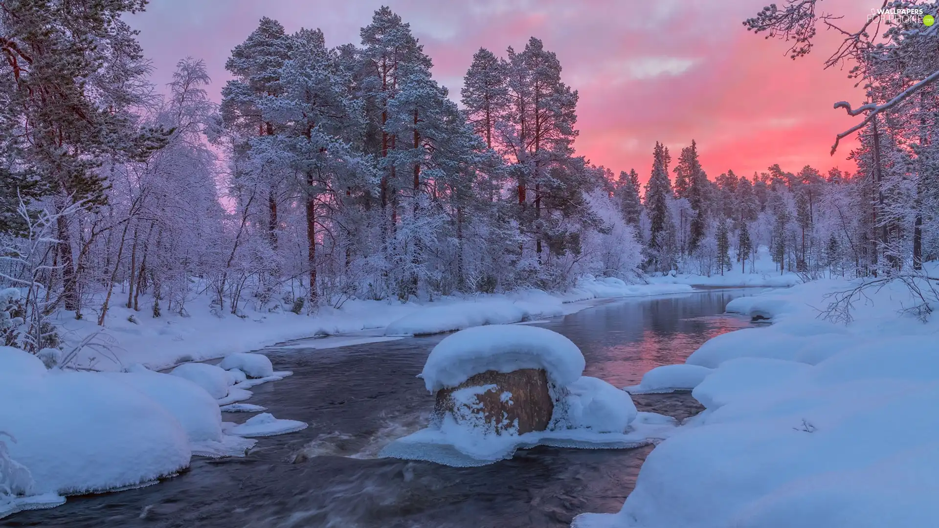 trees, winter, River, Sunrise, viewes, forest