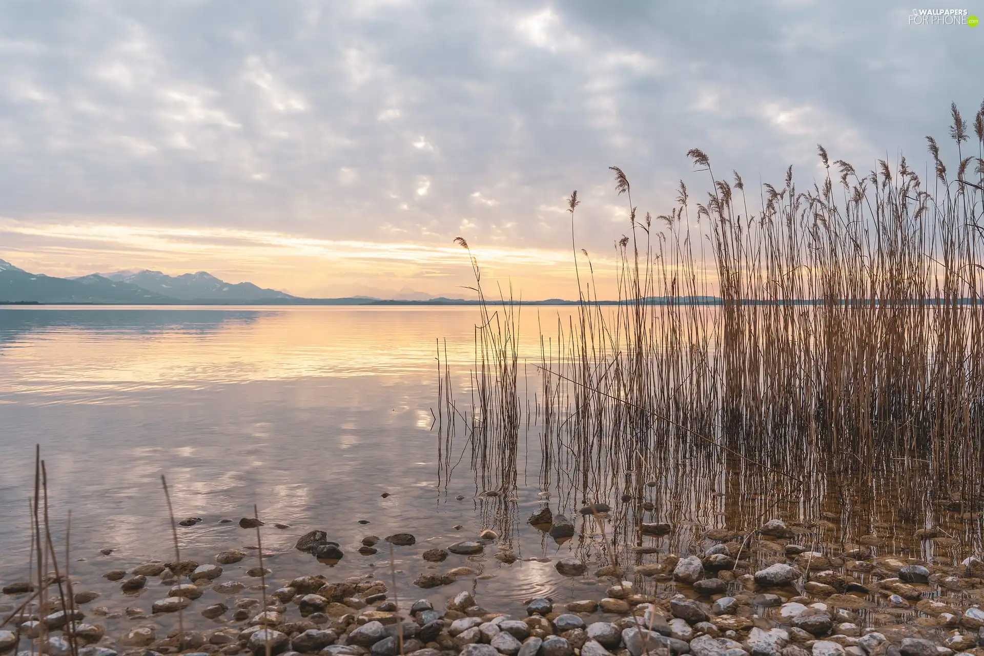 Stones, Sunrise, grass, rushes, lake