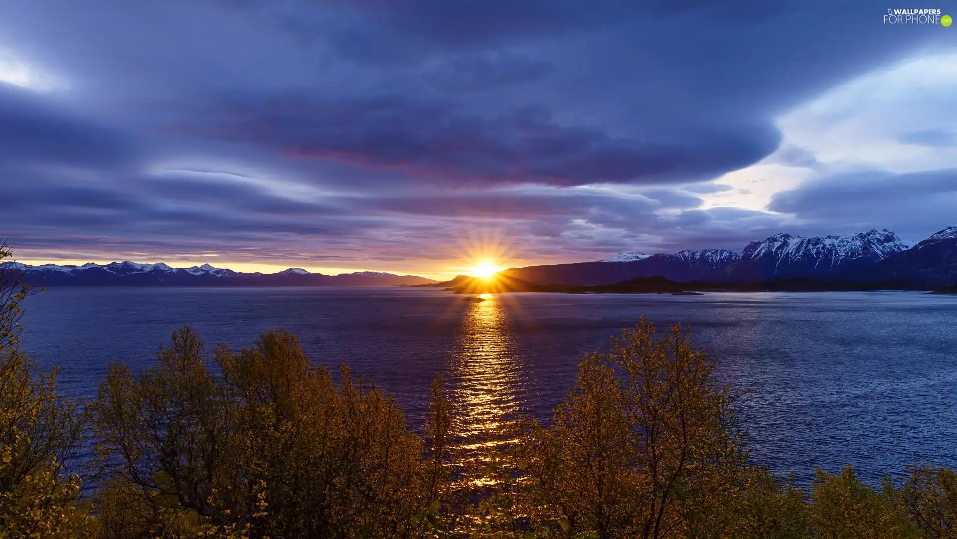 branch pics, trees, Sunrise, Mountains, lake