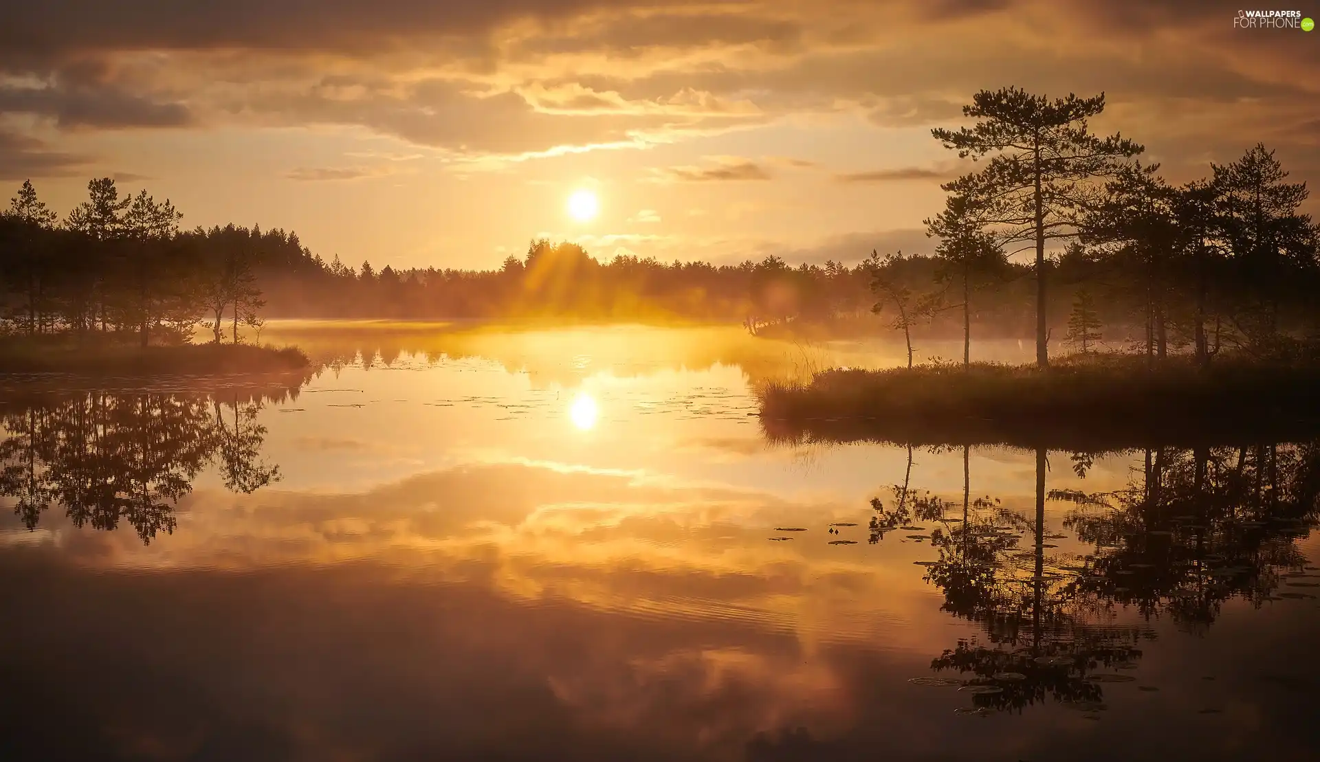 Fog, autumn, viewes, Sunrise, trees, lake