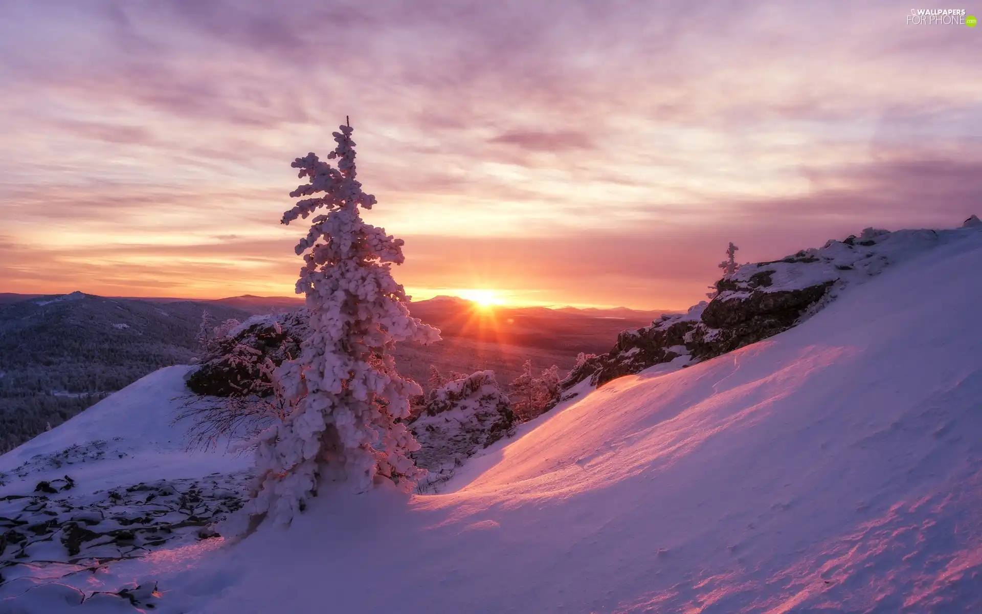 trees, Sunrise, Mountains, Snowy, winter