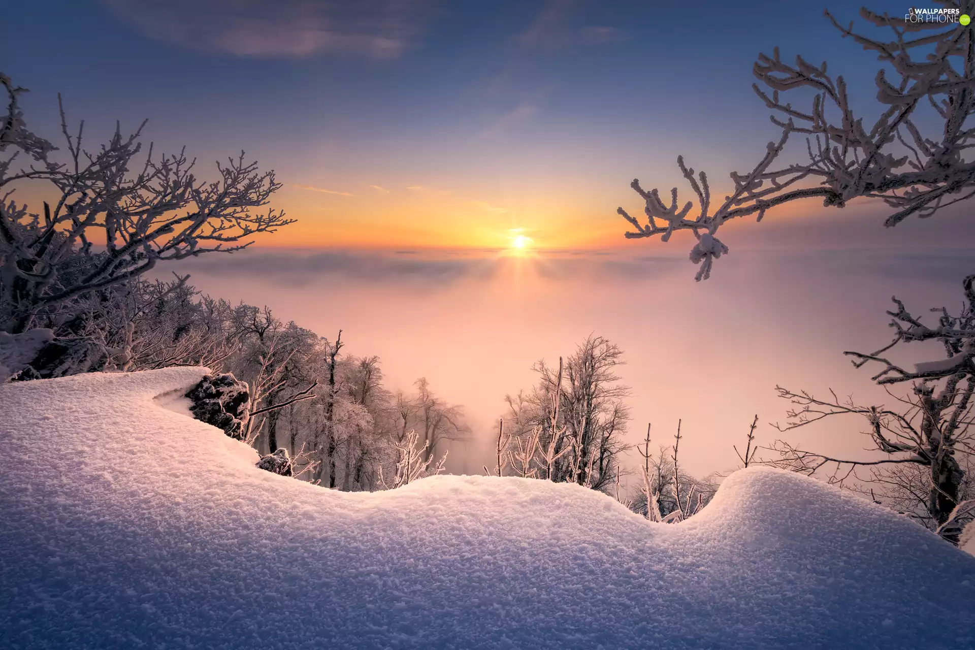 viewes, winter, Fog, Sunrise, snowdrift, trees
