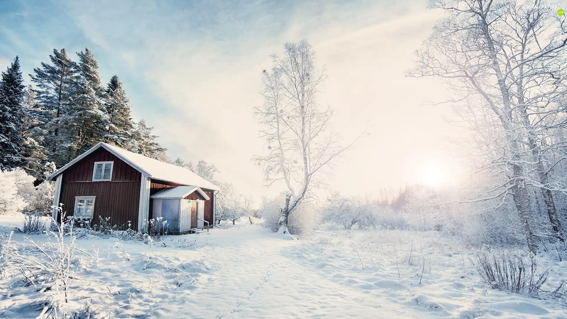 viewes, winter, Way, Sunrise, house, trees