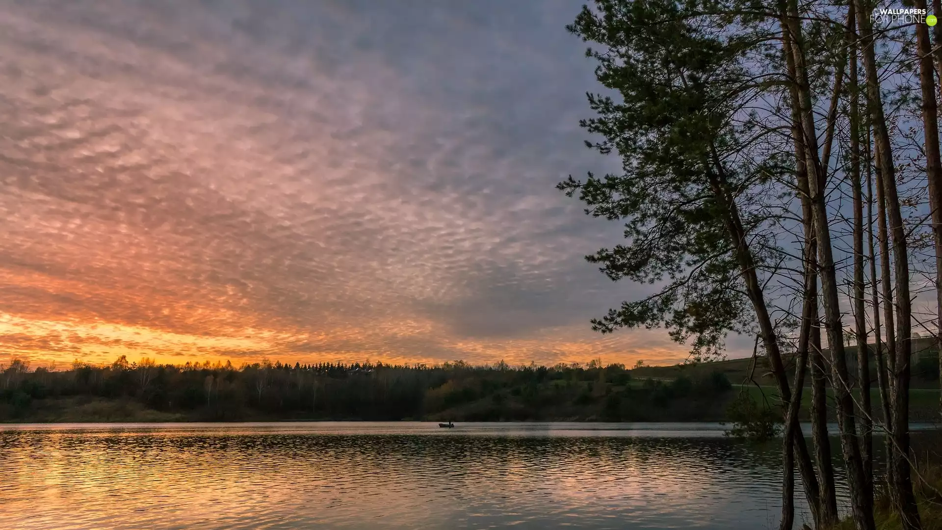 trees, viewes, Great Sunsets, lake, clouds