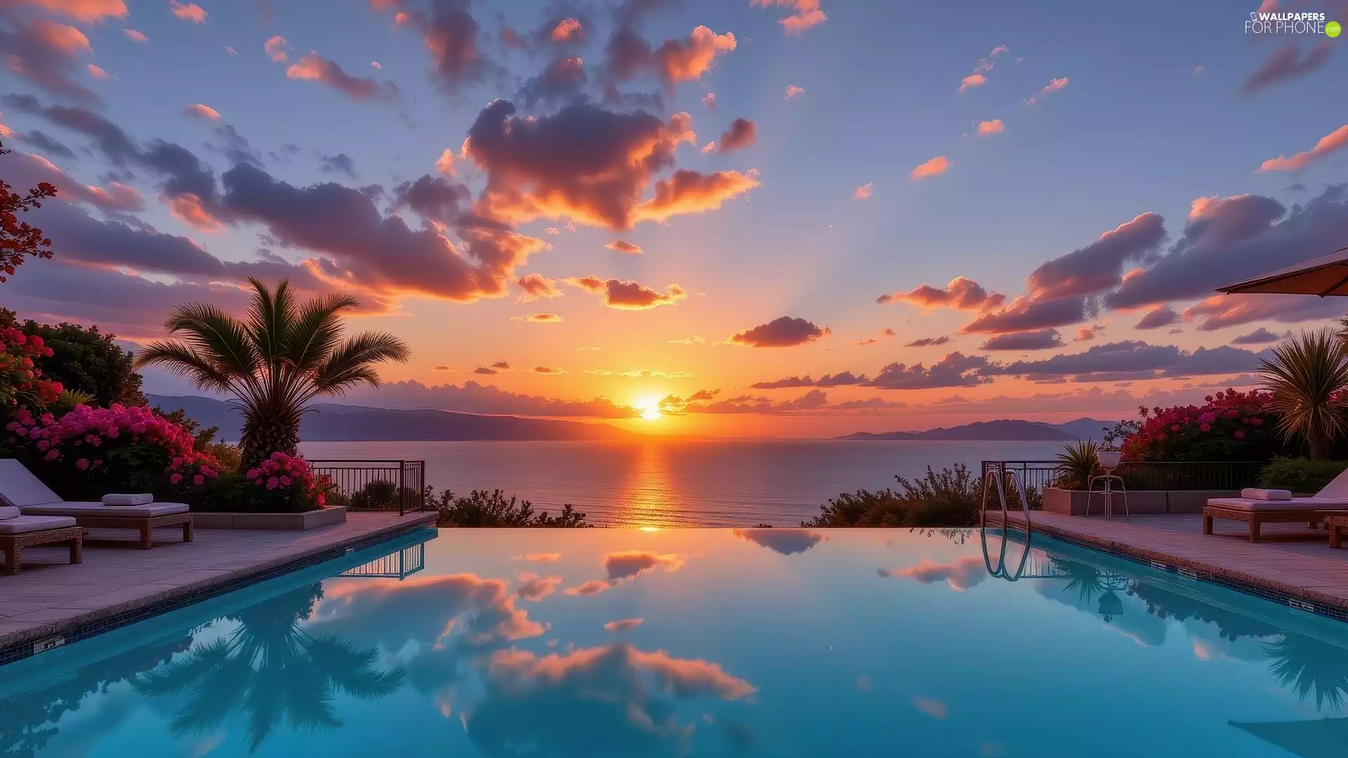 Pool, sea, Flowers, Palms, deck chair, Great Sunsets