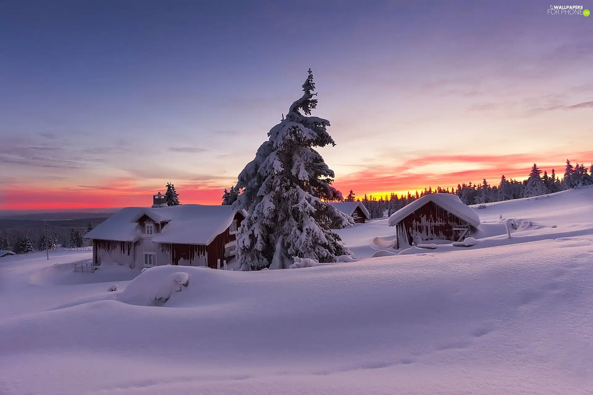 trees, winter, Great Sunsets, country, viewes, Houses