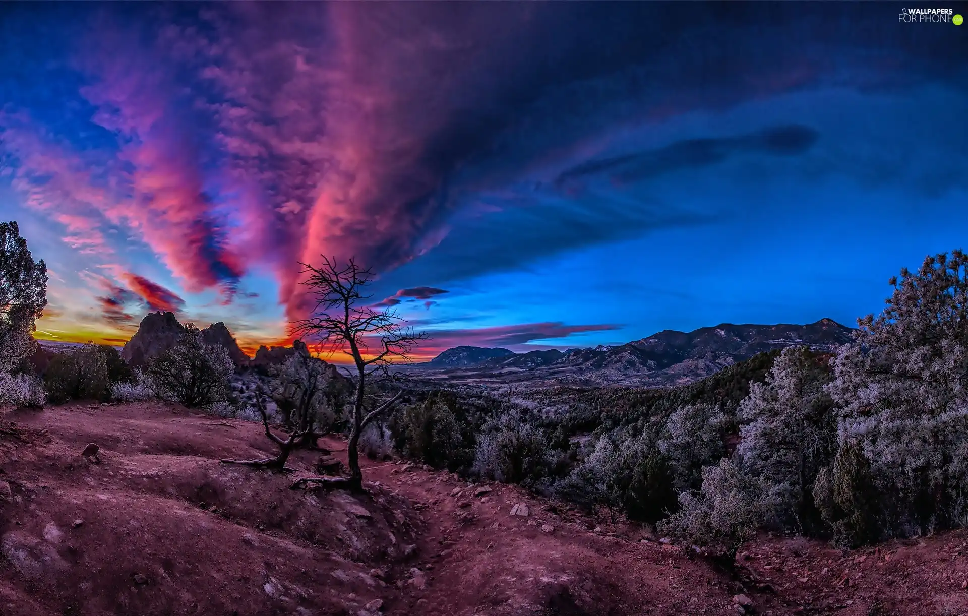 viewes, forest, Great Sunsets, evening, Mountains, trees