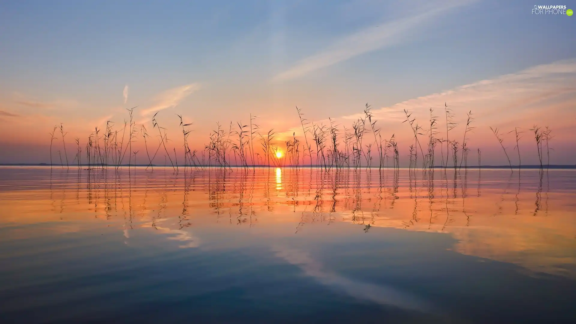 color, Sky, Great Sunsets, grass, lake