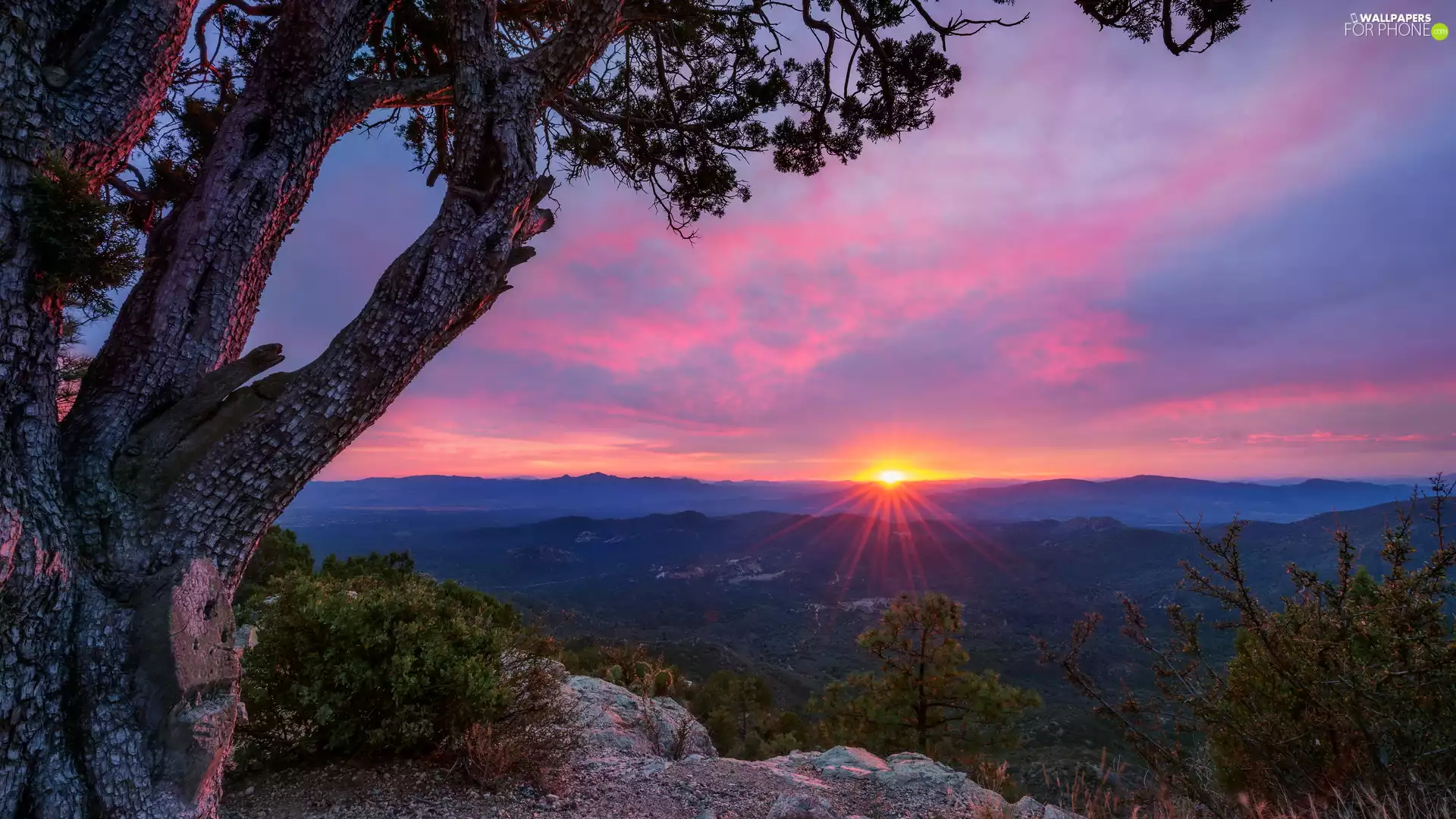 Great Sunsets, rocks, trees, Mountains