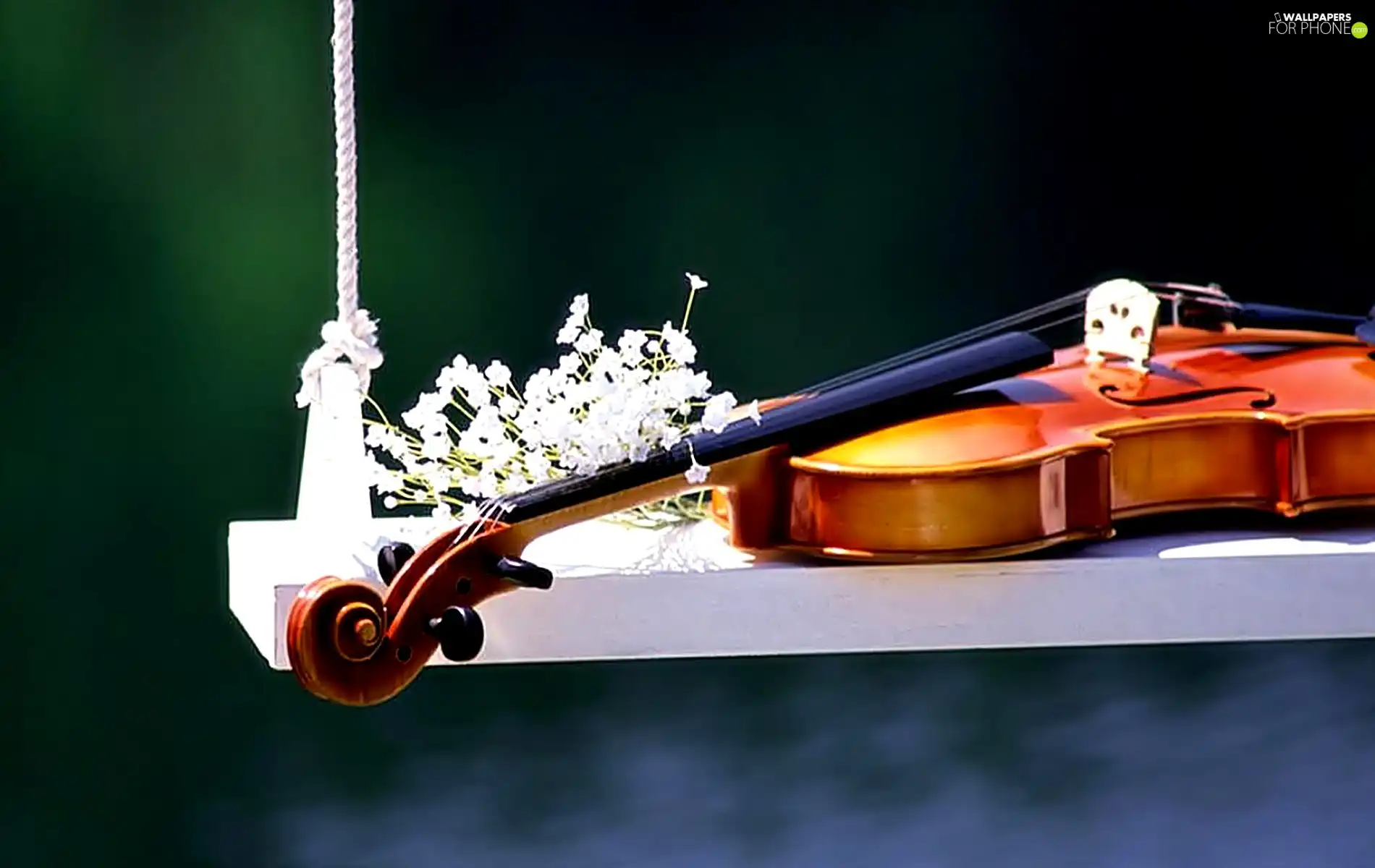 violin, Swing