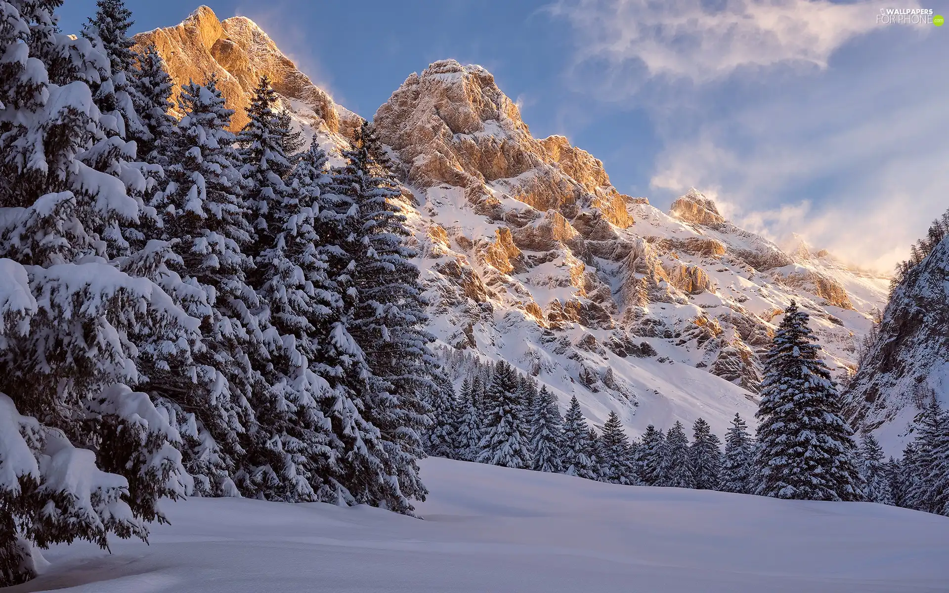 viewes, Switzerland, Mountains, trees, winter