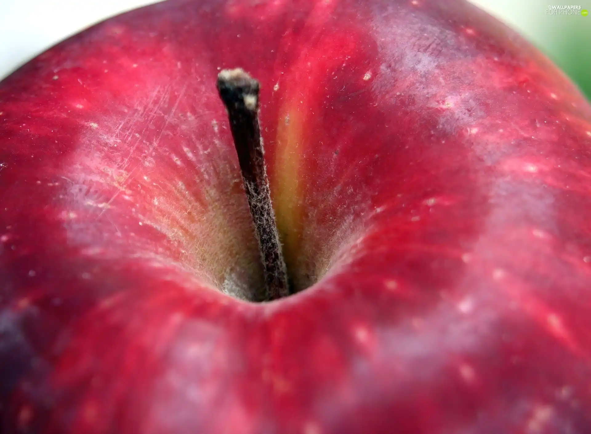 tail, Red, Apple