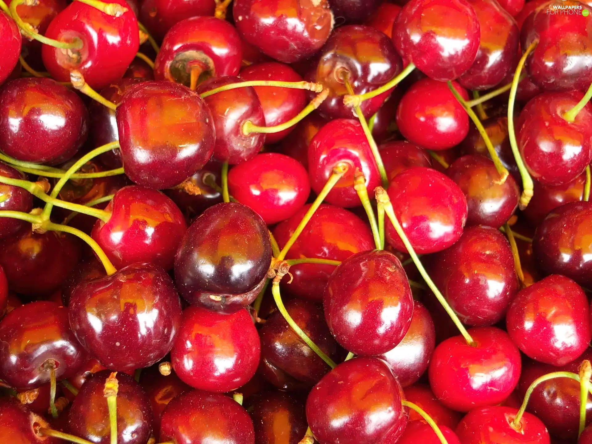 cherries, tails