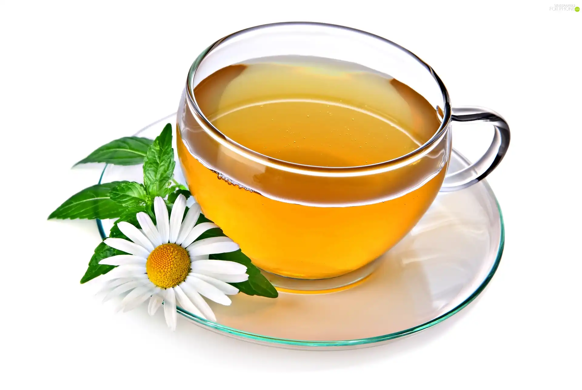 tea, chamomile, cup