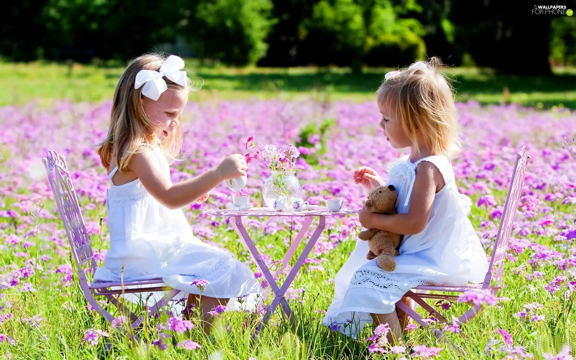 Meadow, table, tea, girls