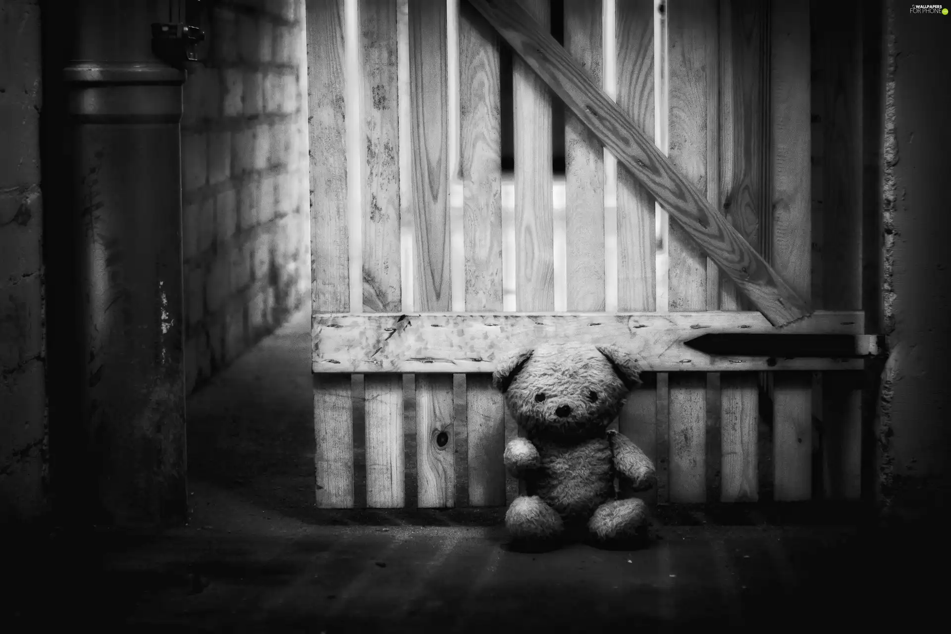 teddy bear, basement