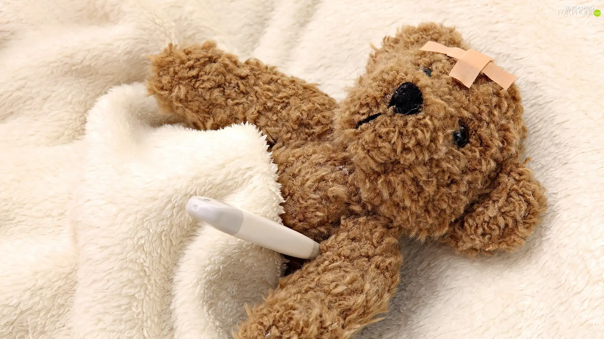 ill, teddybear