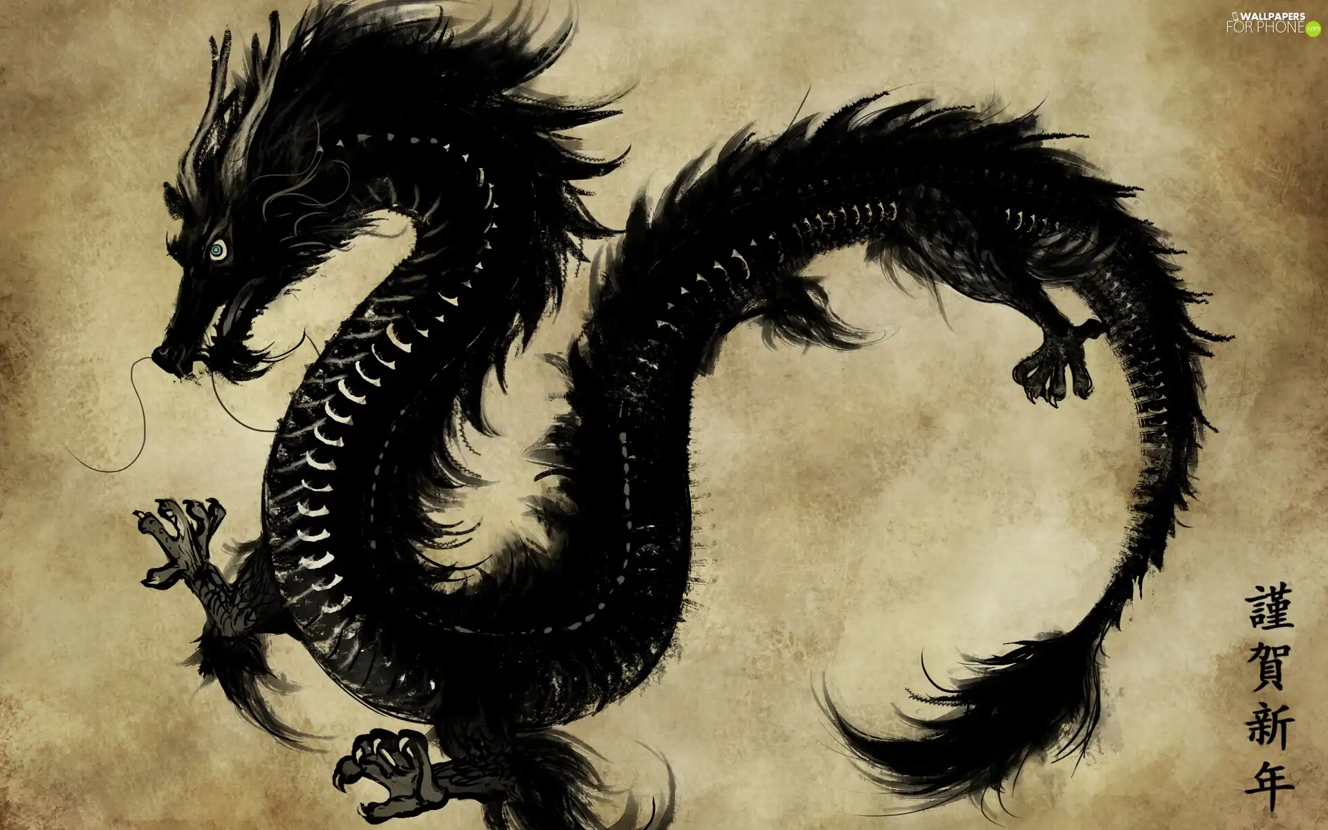 Chinese, Dragon, text, Black