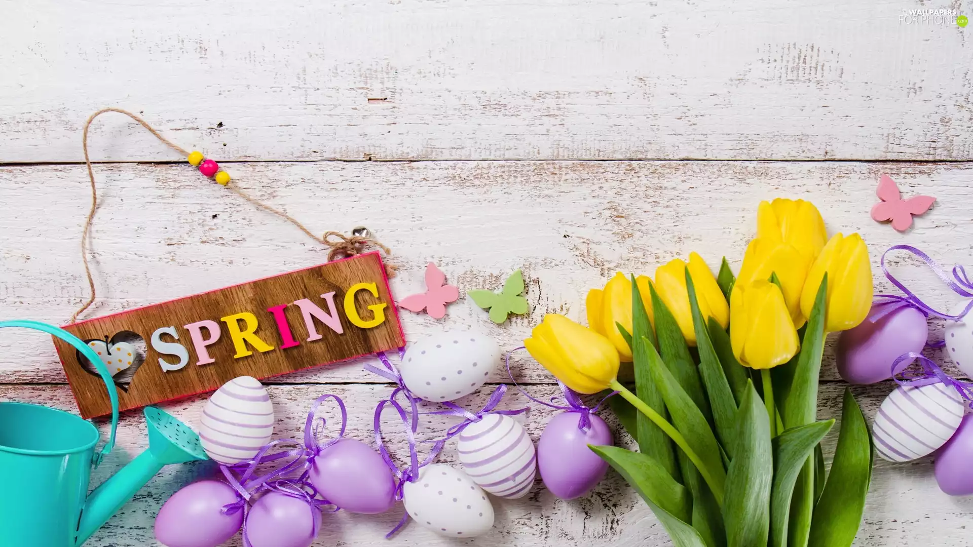 watering can, Easter, text, Spring, Tulips, eggs