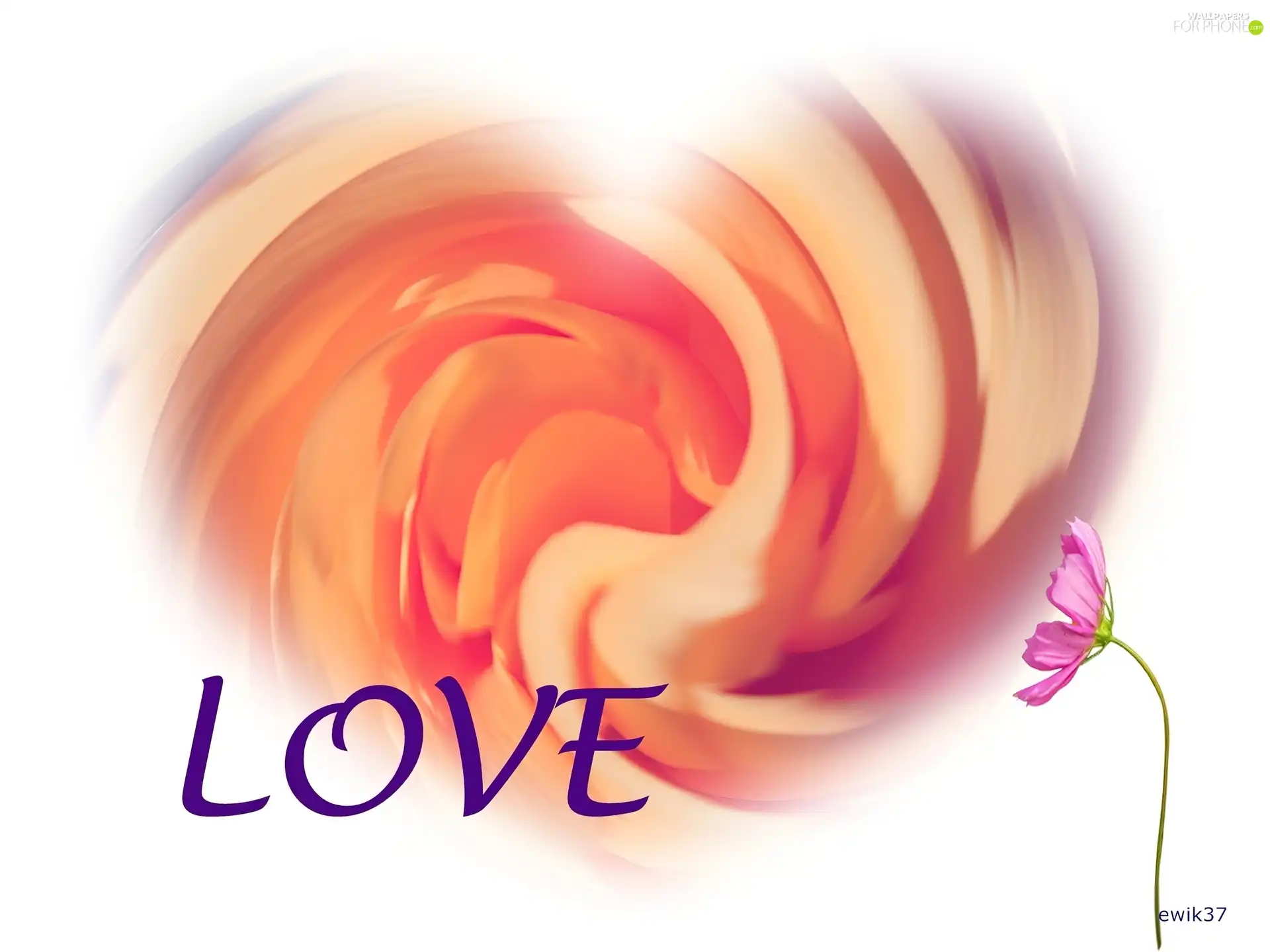 Colourfull Flowers, Heart, text