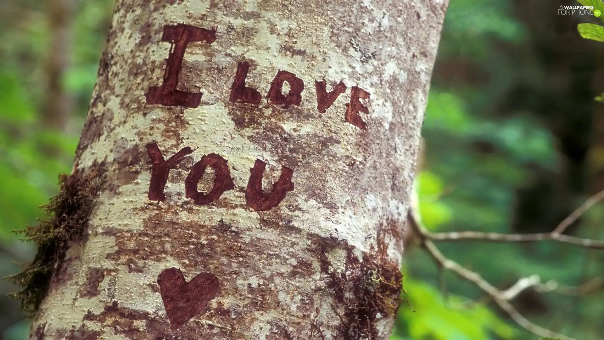 text, trees, love