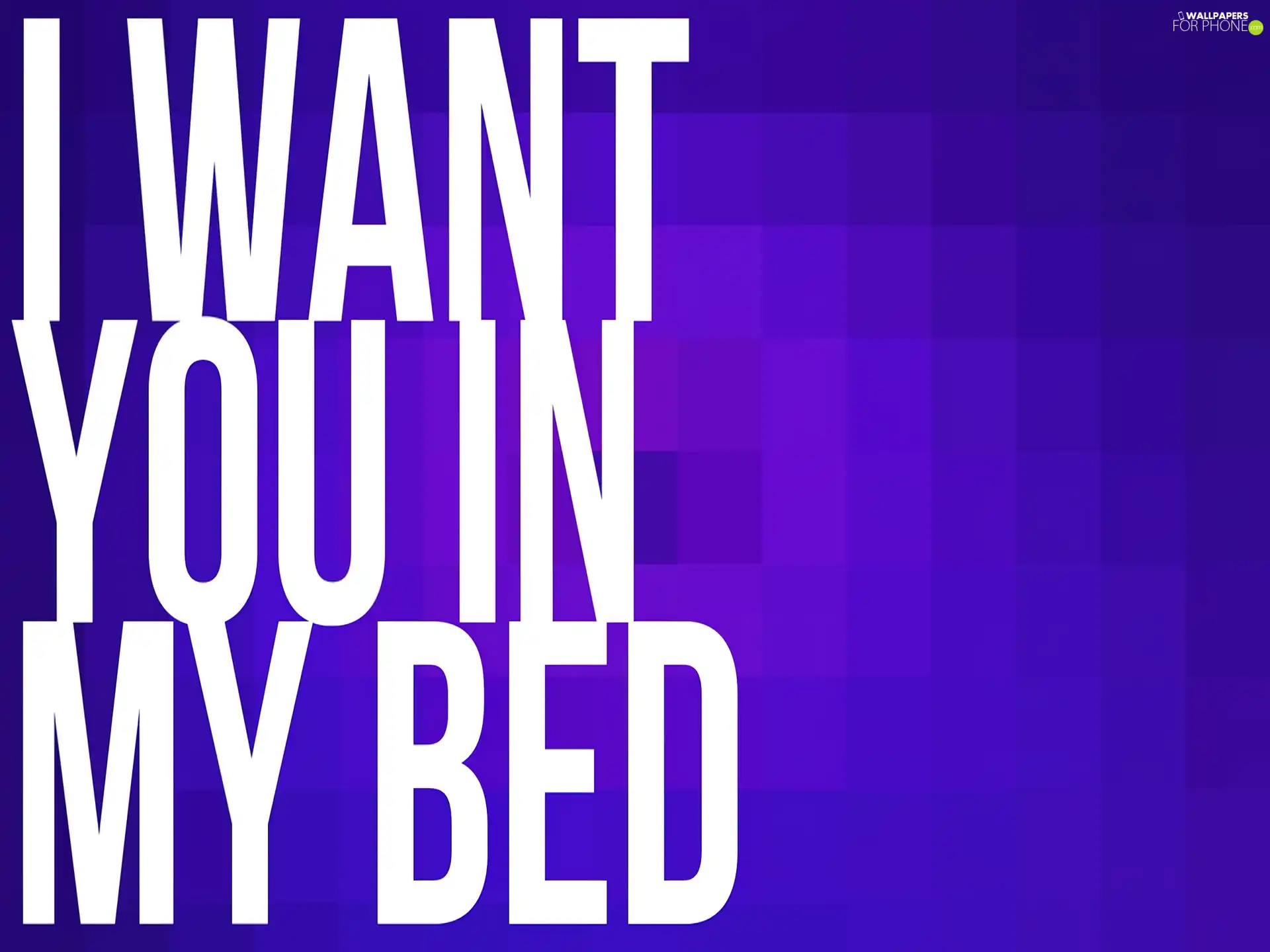 purple, White, text, background