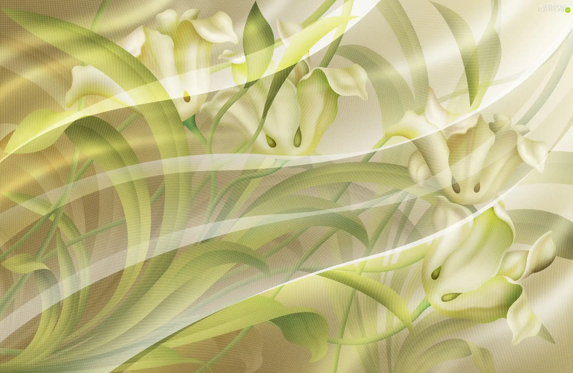 cream, net, texture, Flowers