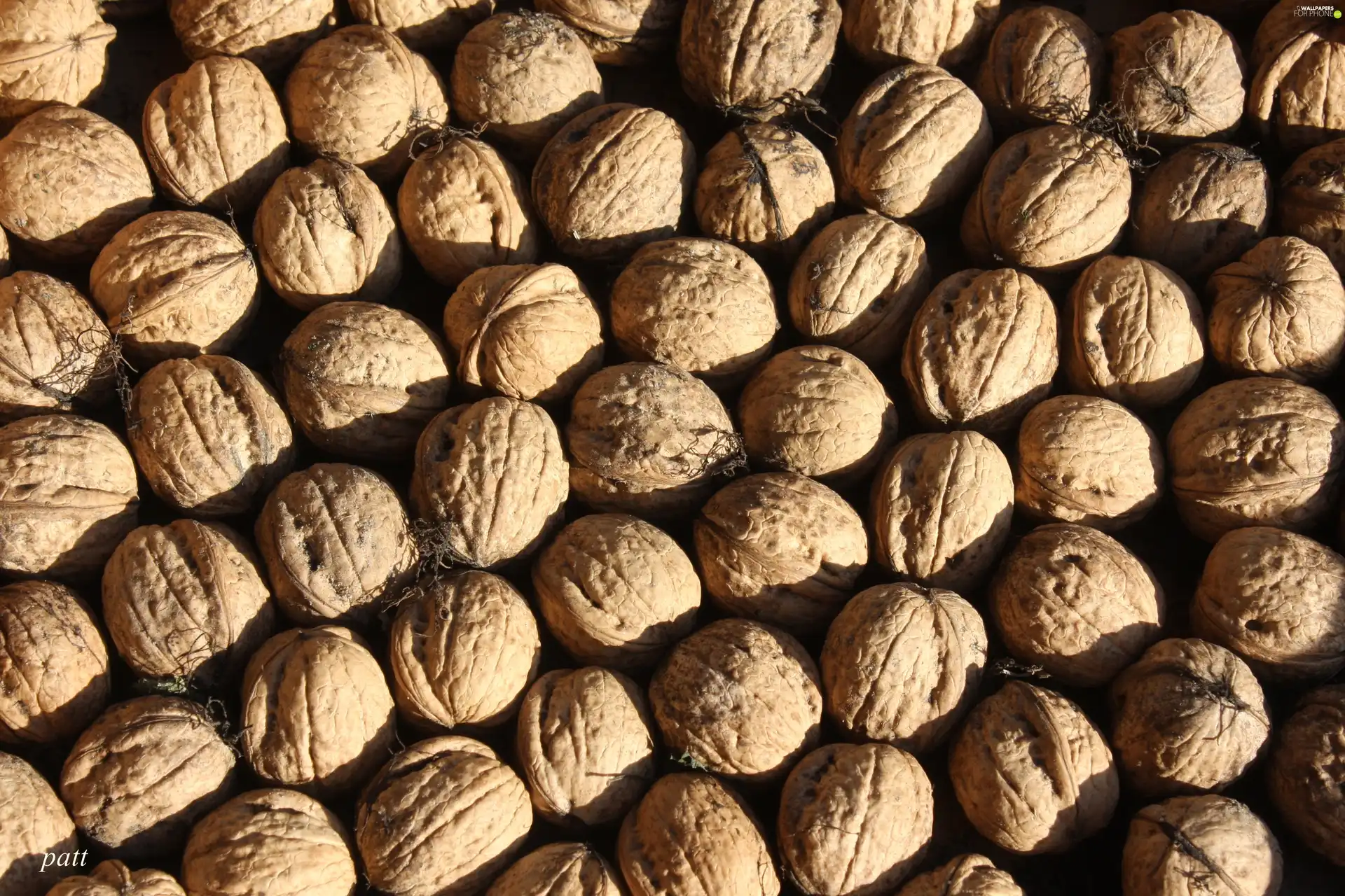 nuts, texture