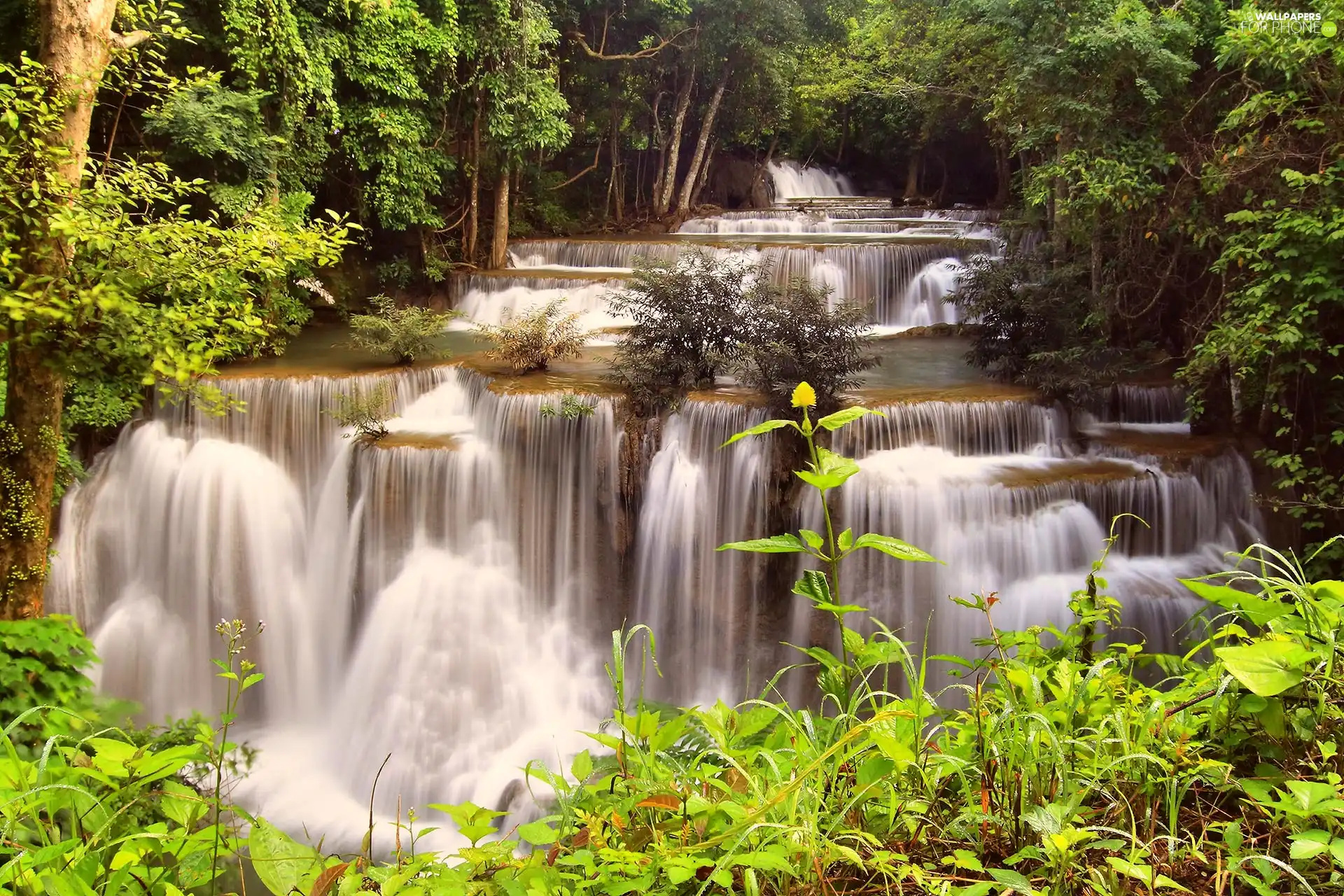 forest, cascade, Thailand, waterfall