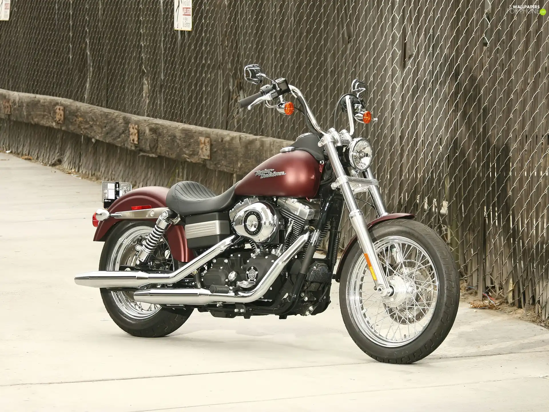 the spokes, Harley Davidson Dyna Street Bob, Engine