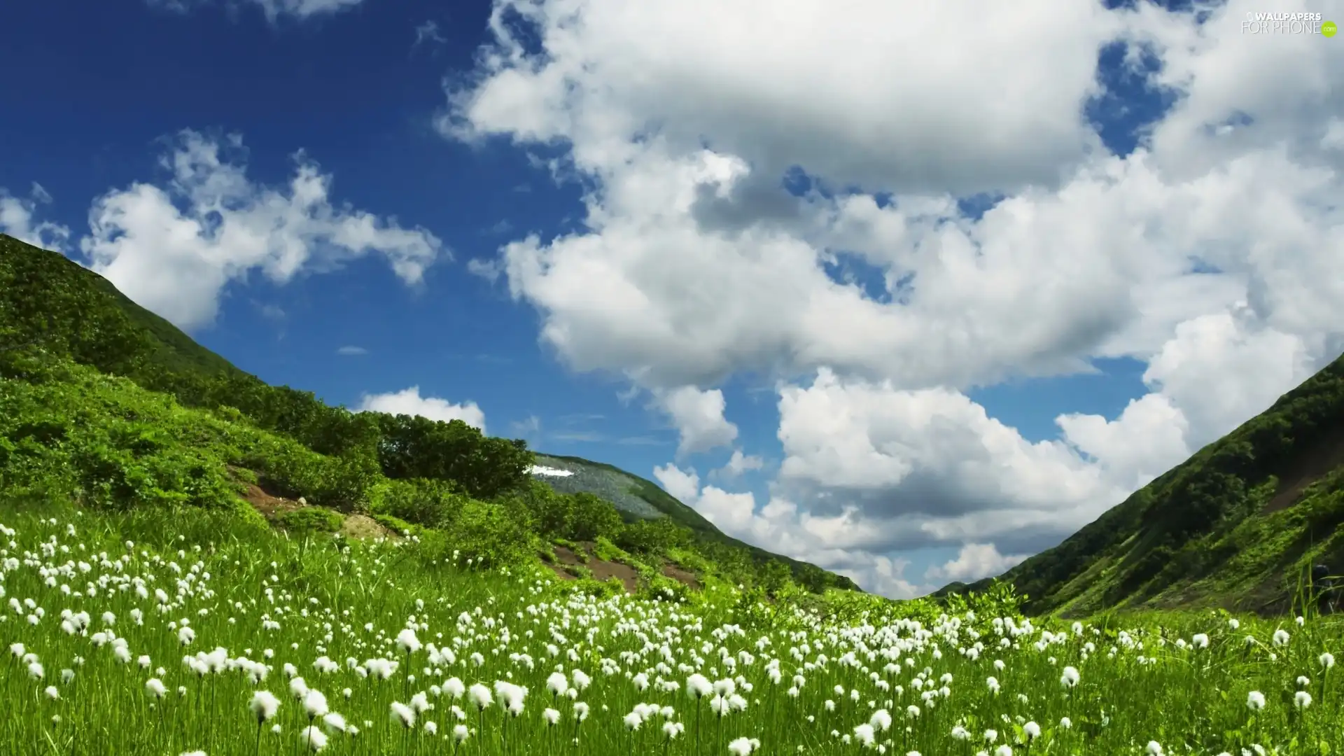 The Hills, grass, clouds, Meadow, Sky