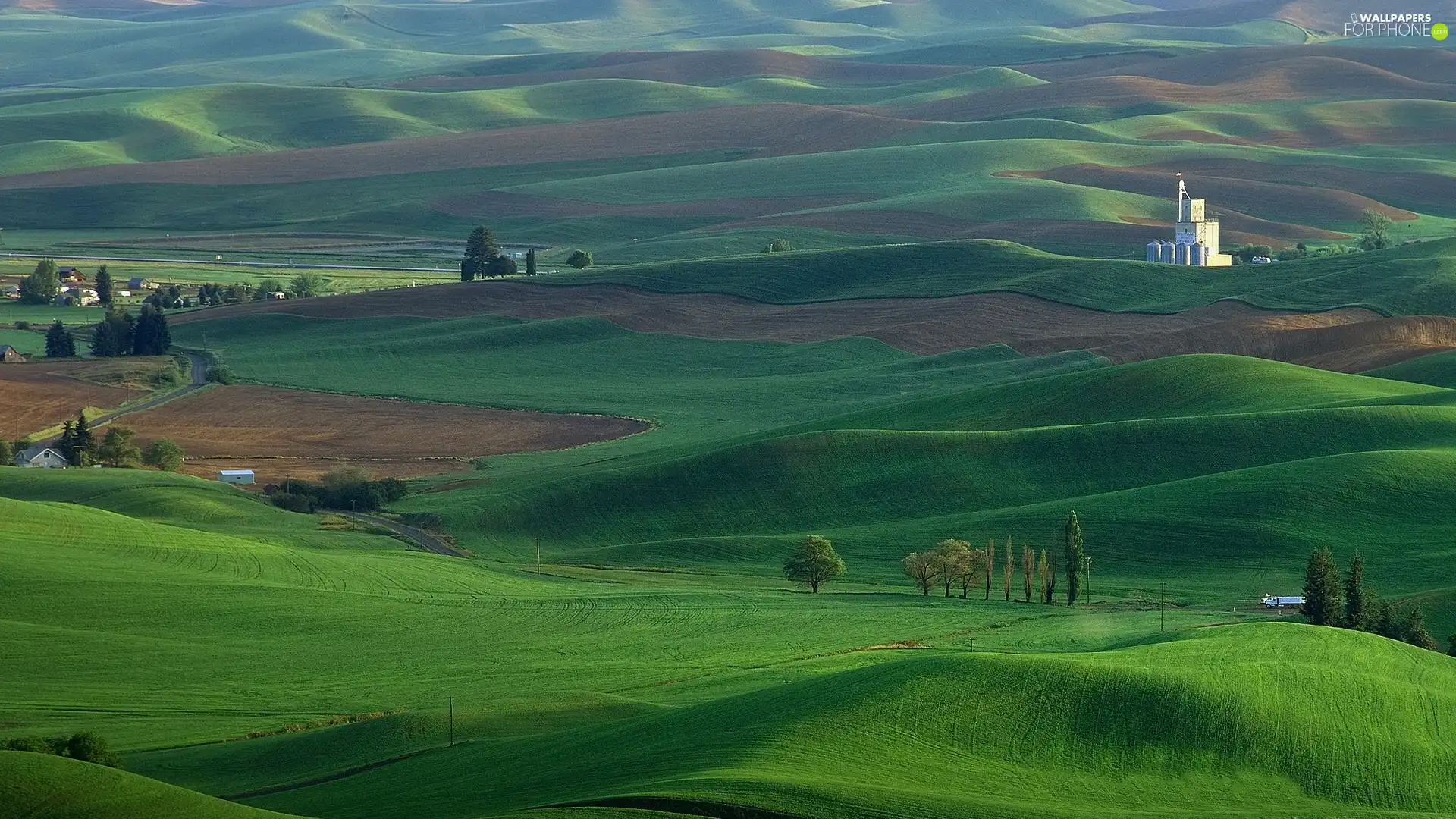 buildings, green ones, The Hills