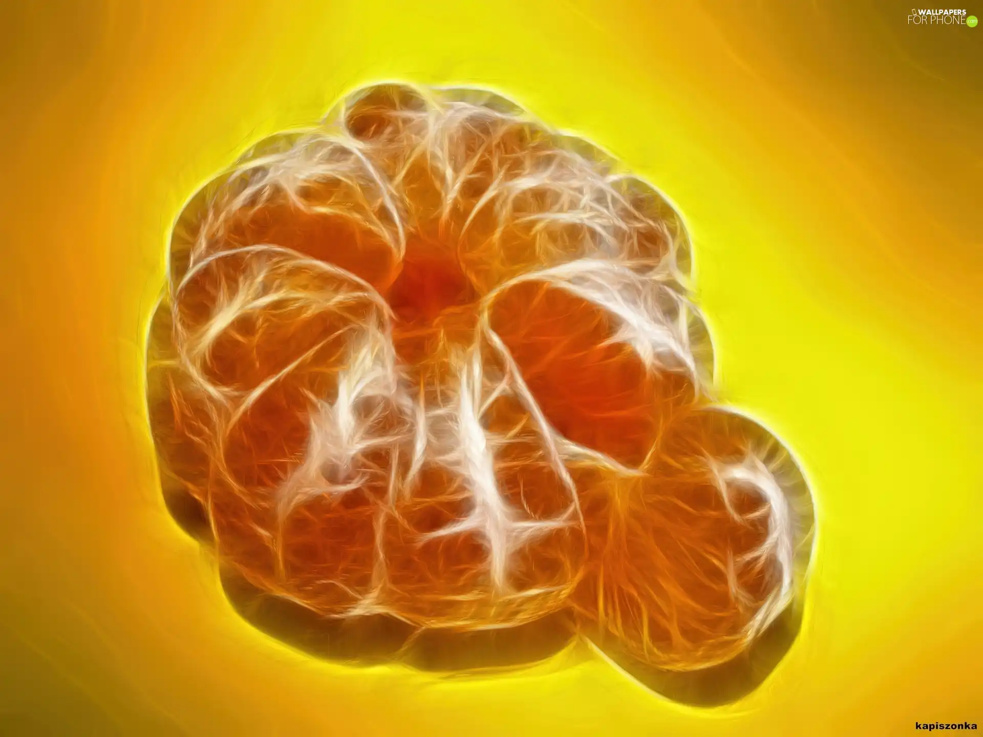The chosen, mandarine