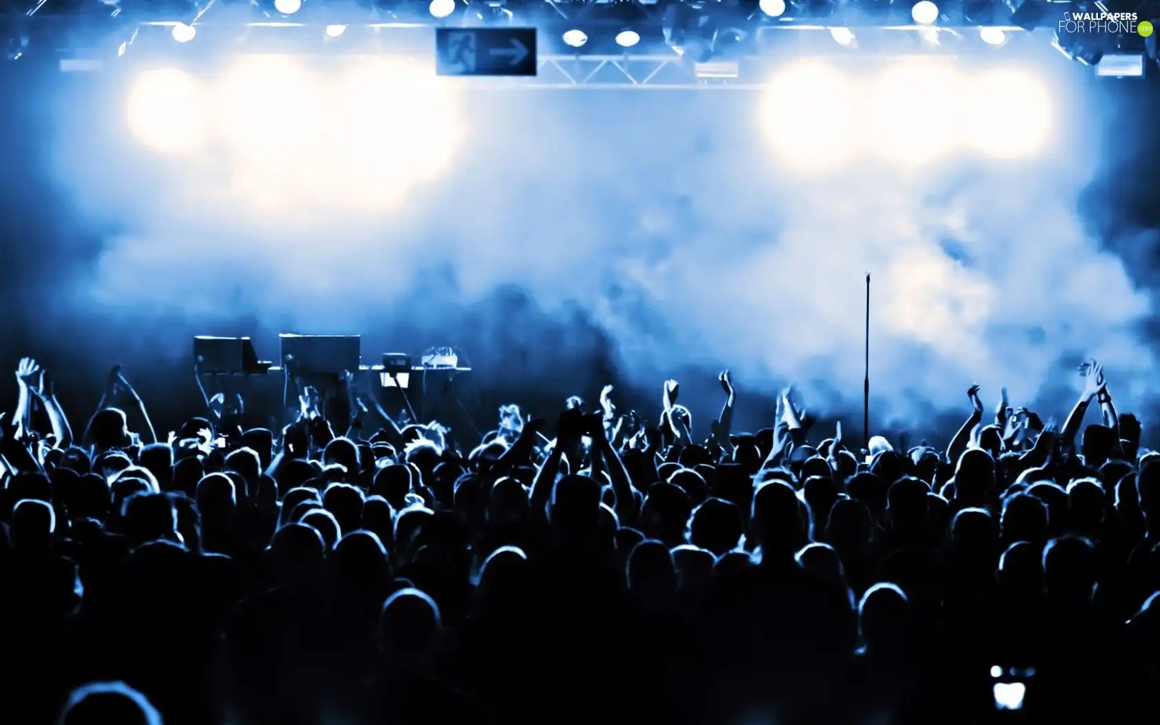 music, Concert, the fans