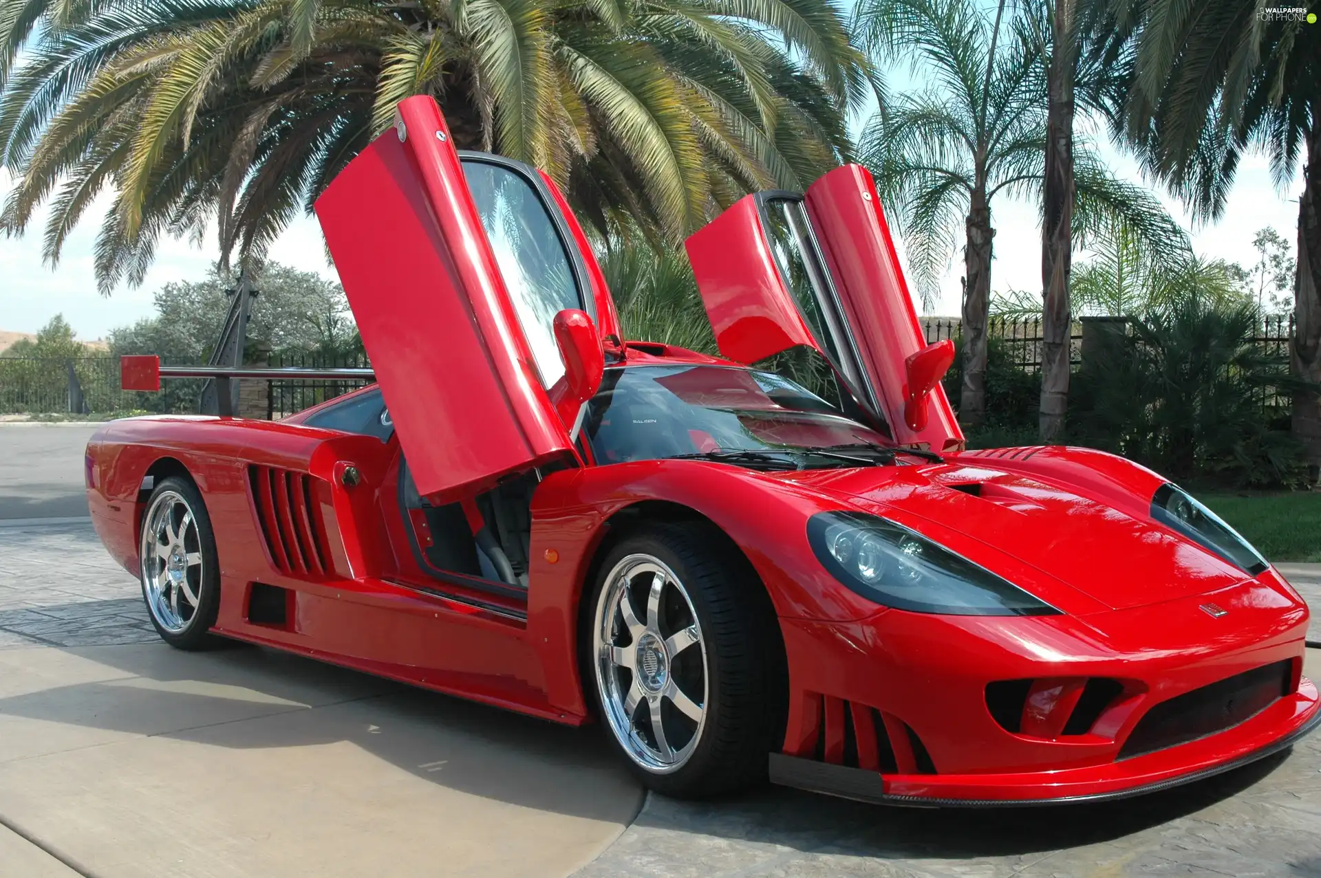 Doors, Saleen S7, The hinged