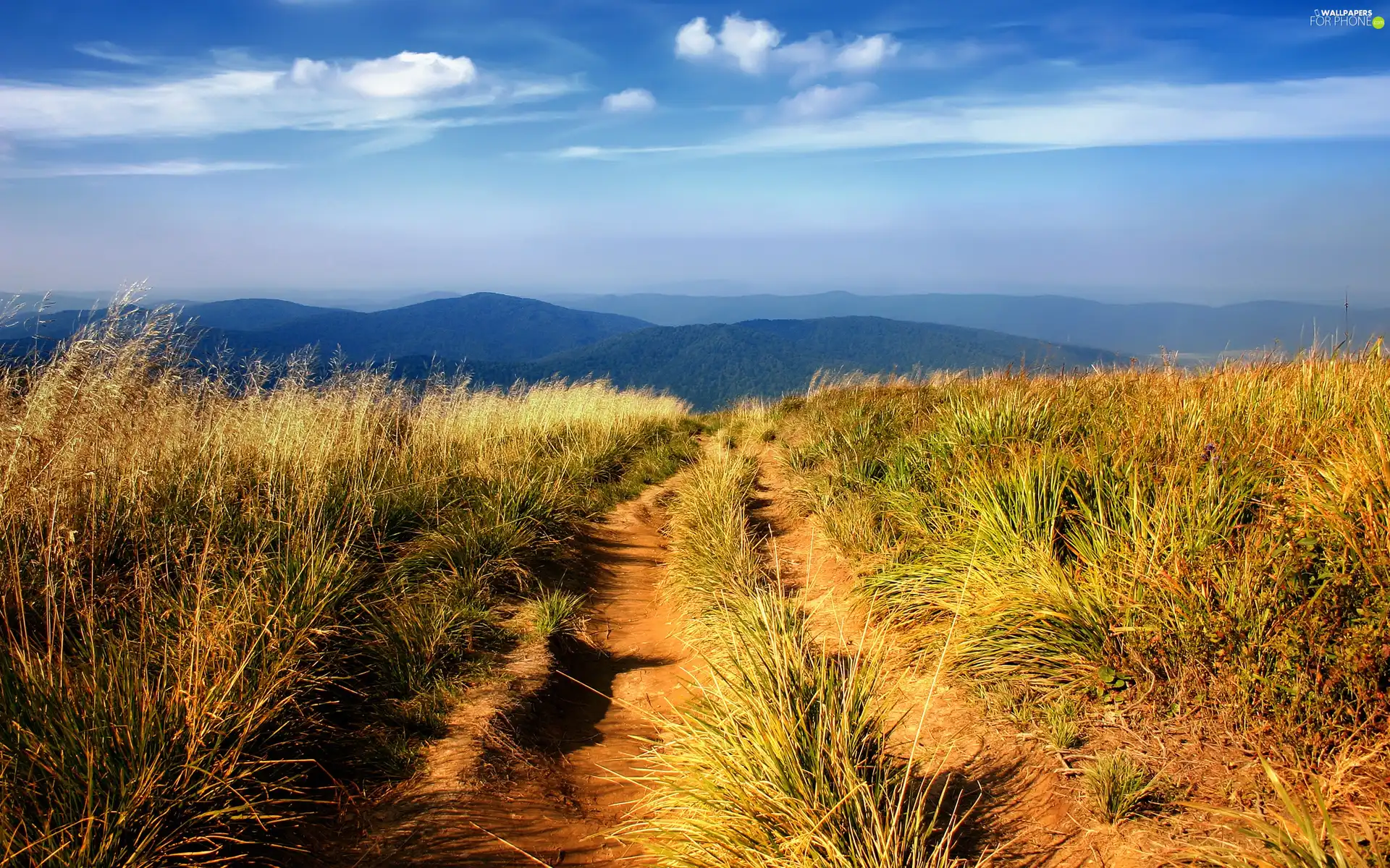 The Hills, Sky, Field, grass, Way