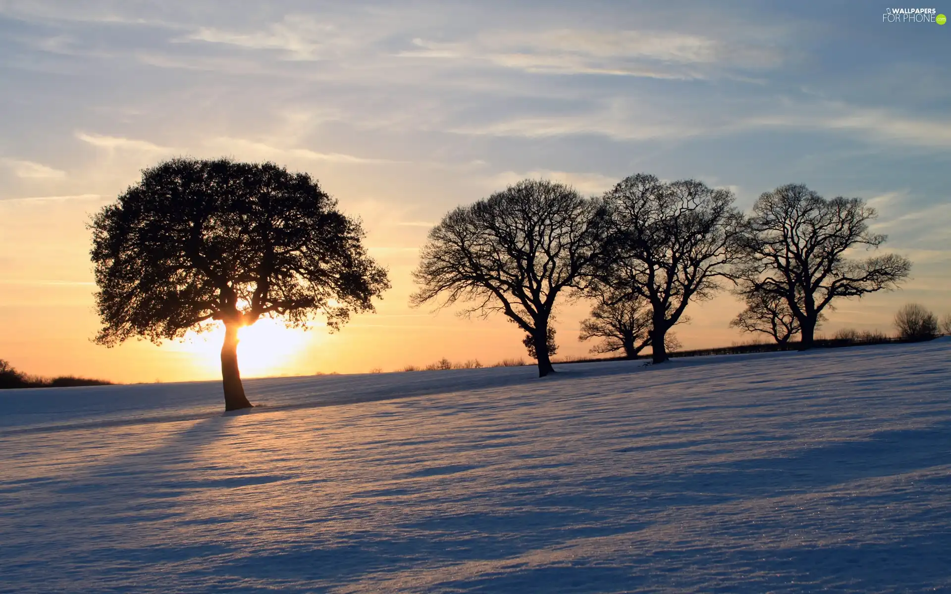The setting, sun, trees, viewes, snow
