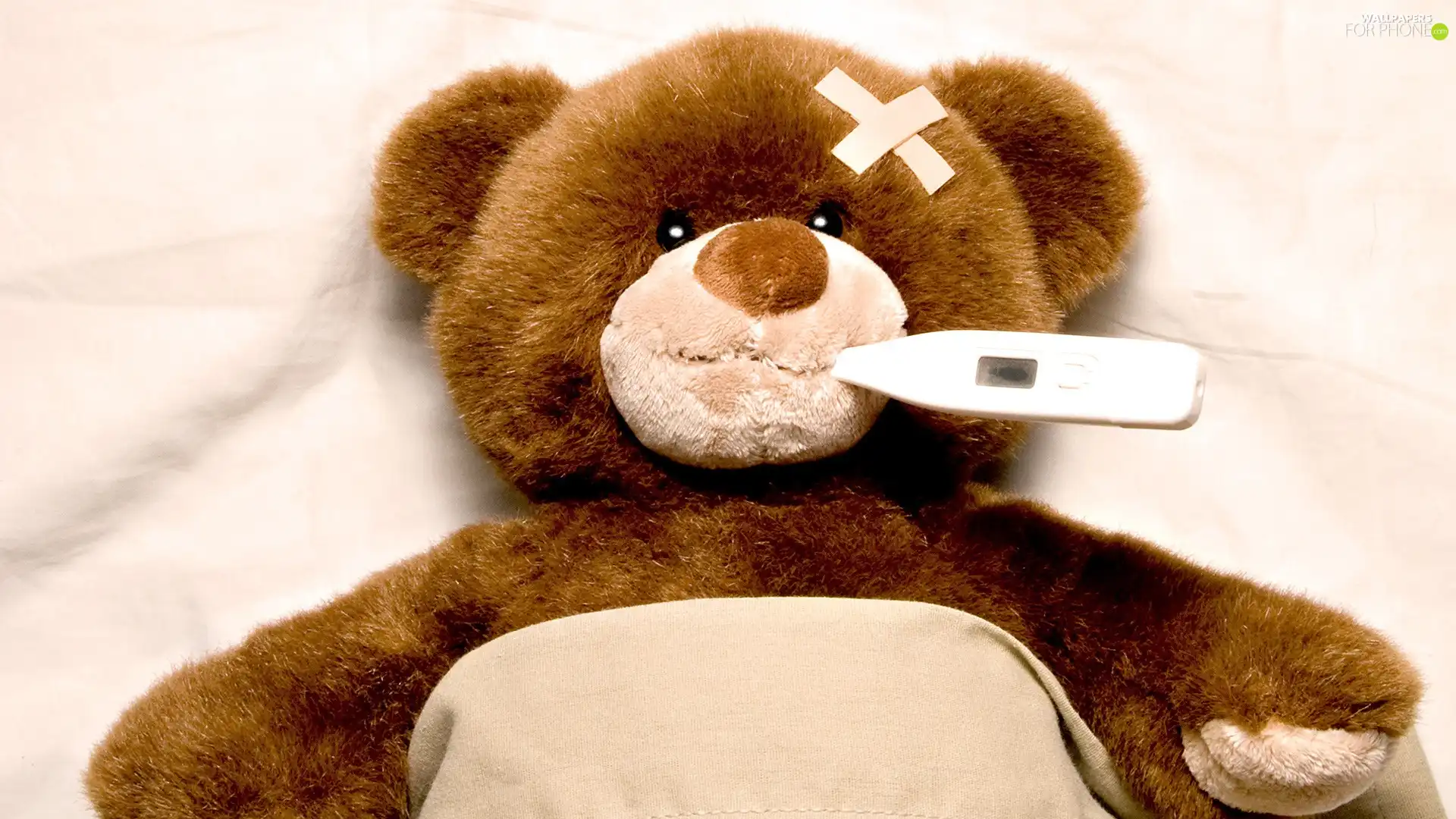 Plush, slice, thermometer, teddy bear