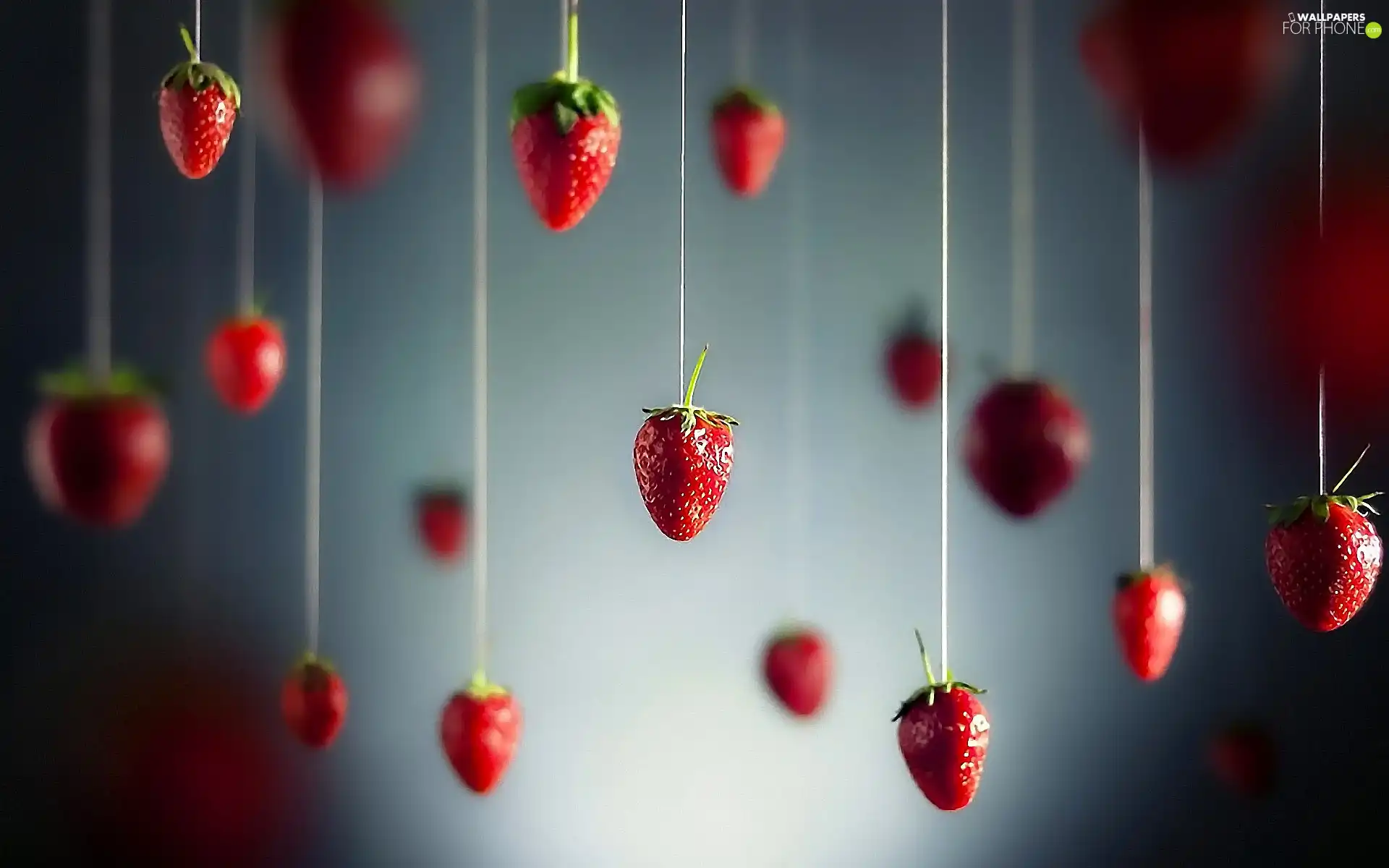 strawberries, Threads