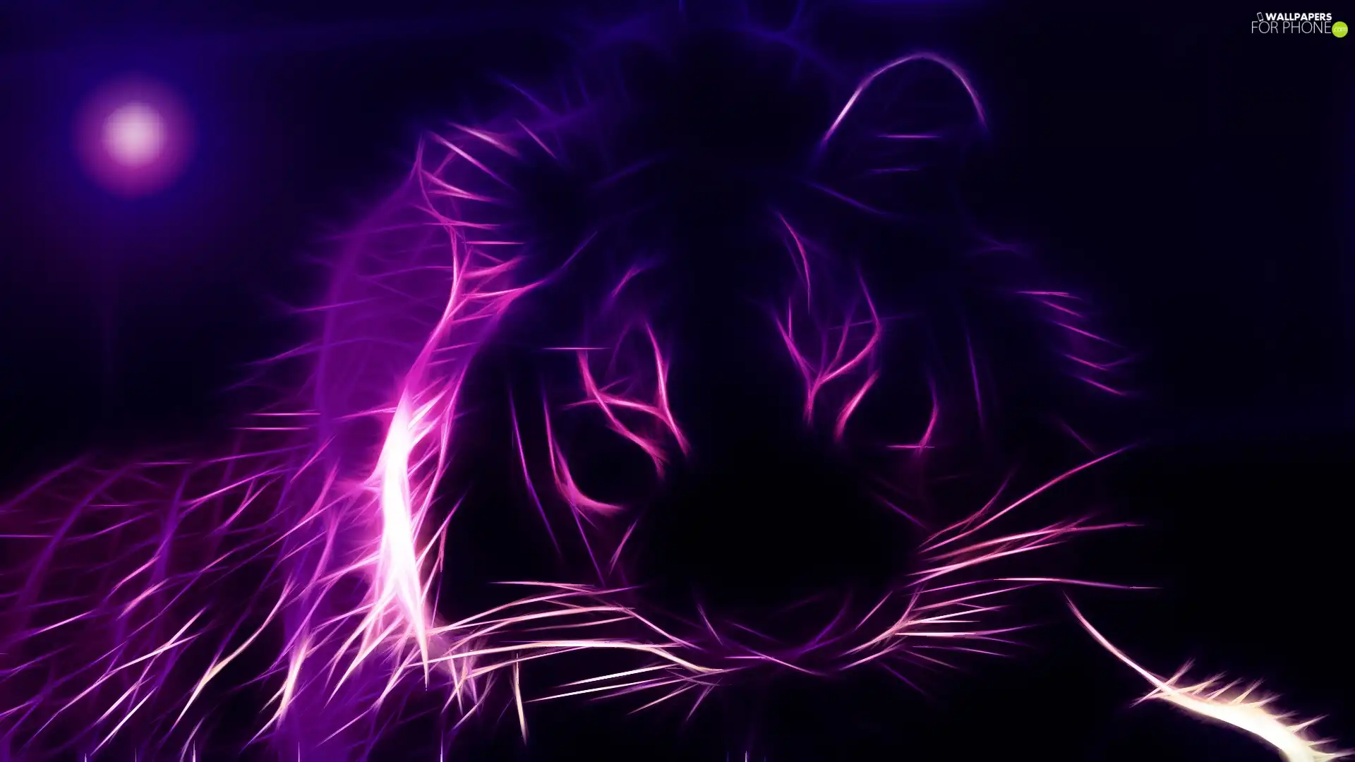 Violet, tiger