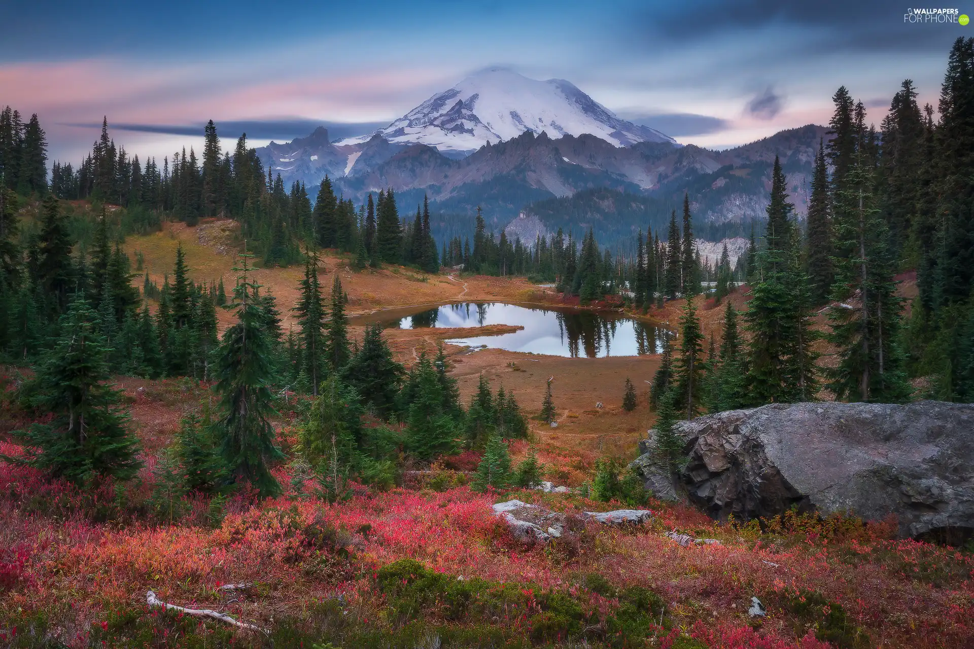 Stratovolcano Mount Rainier, trees, The United States, viewes, Washington State, Mountains, Mount Rainier National Park, Lake Tipsoo