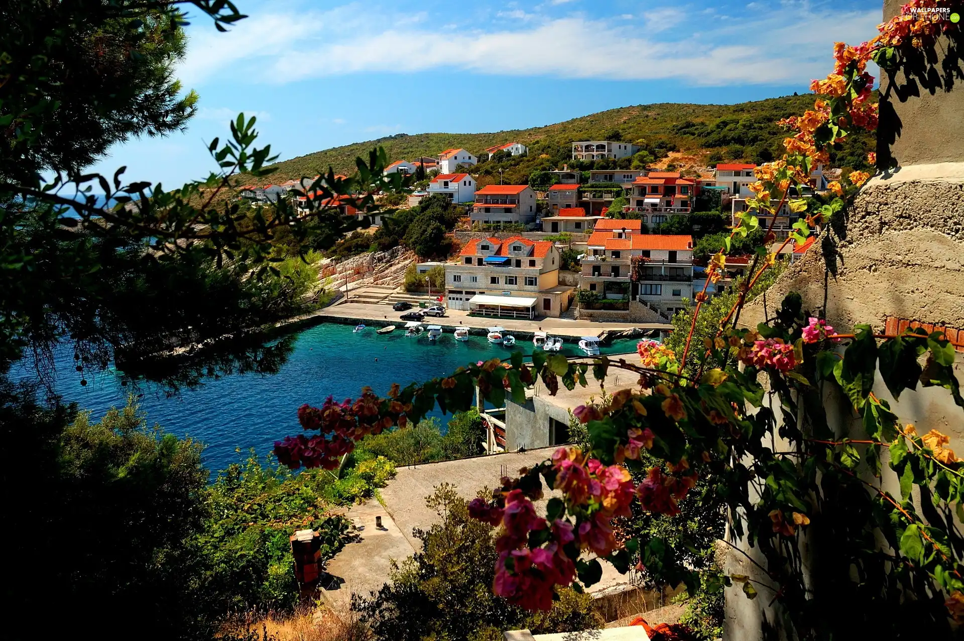 Town, Hill, sea, Houses, landscape