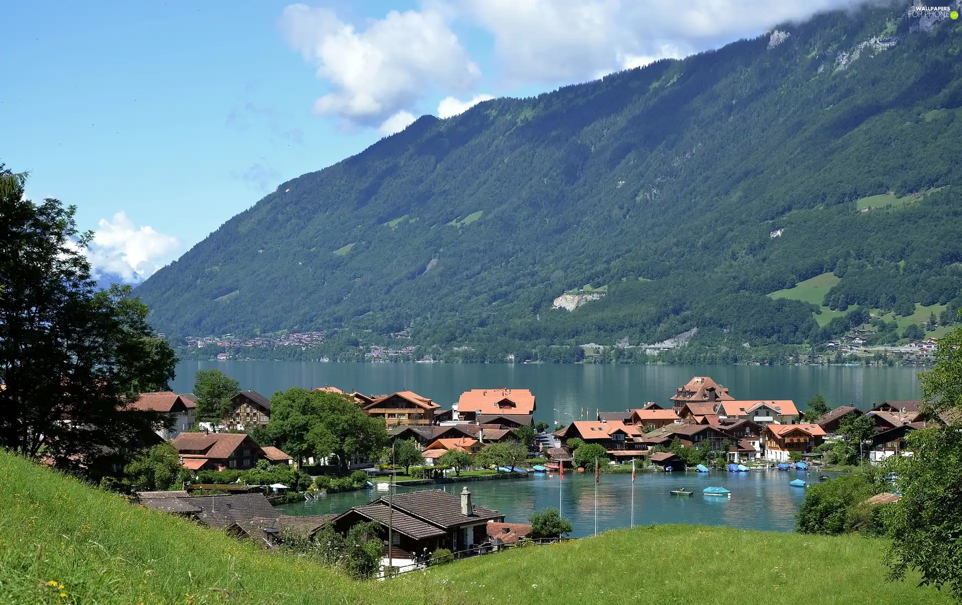 Town, Iseltwald, woods, lake, Mountains